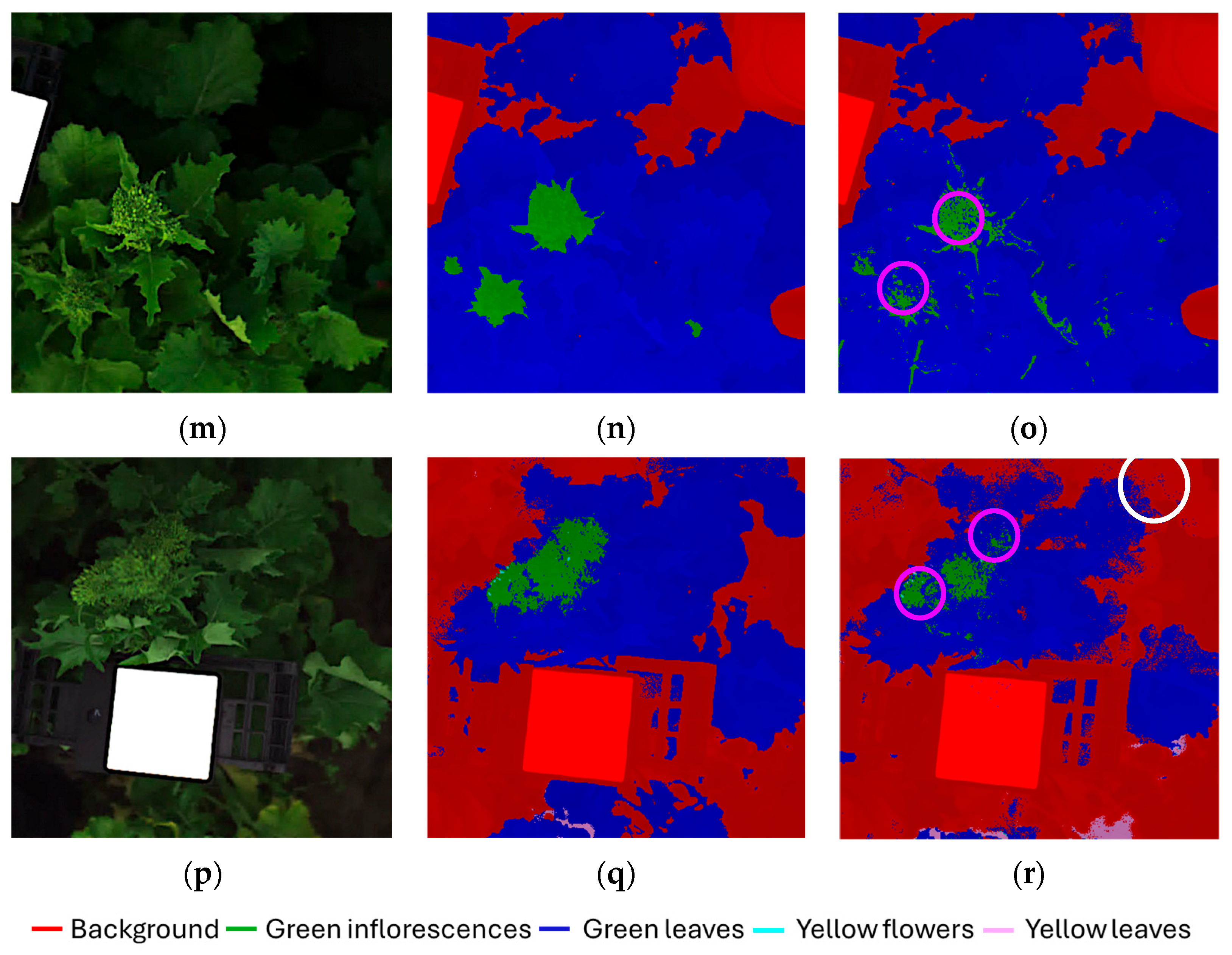 Agriengineering 08 00090 g006b Agriengineering 08 00090 g006b