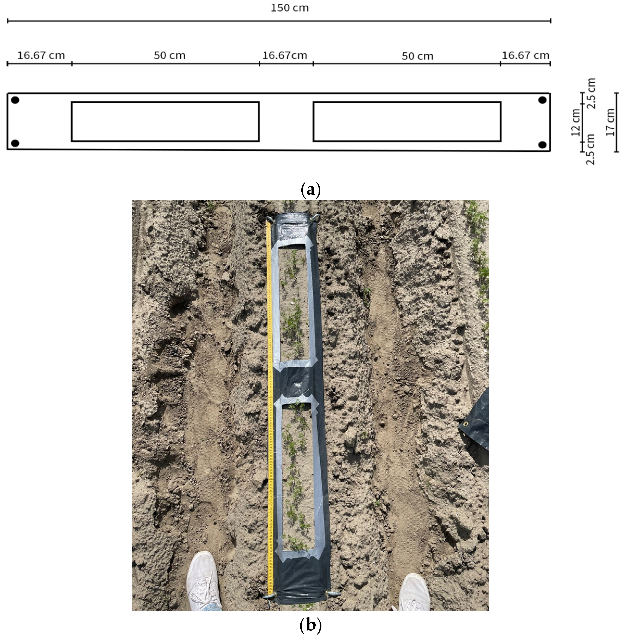 Agriengineering 08 00133 g003 Agriengineering 08 00133 g003