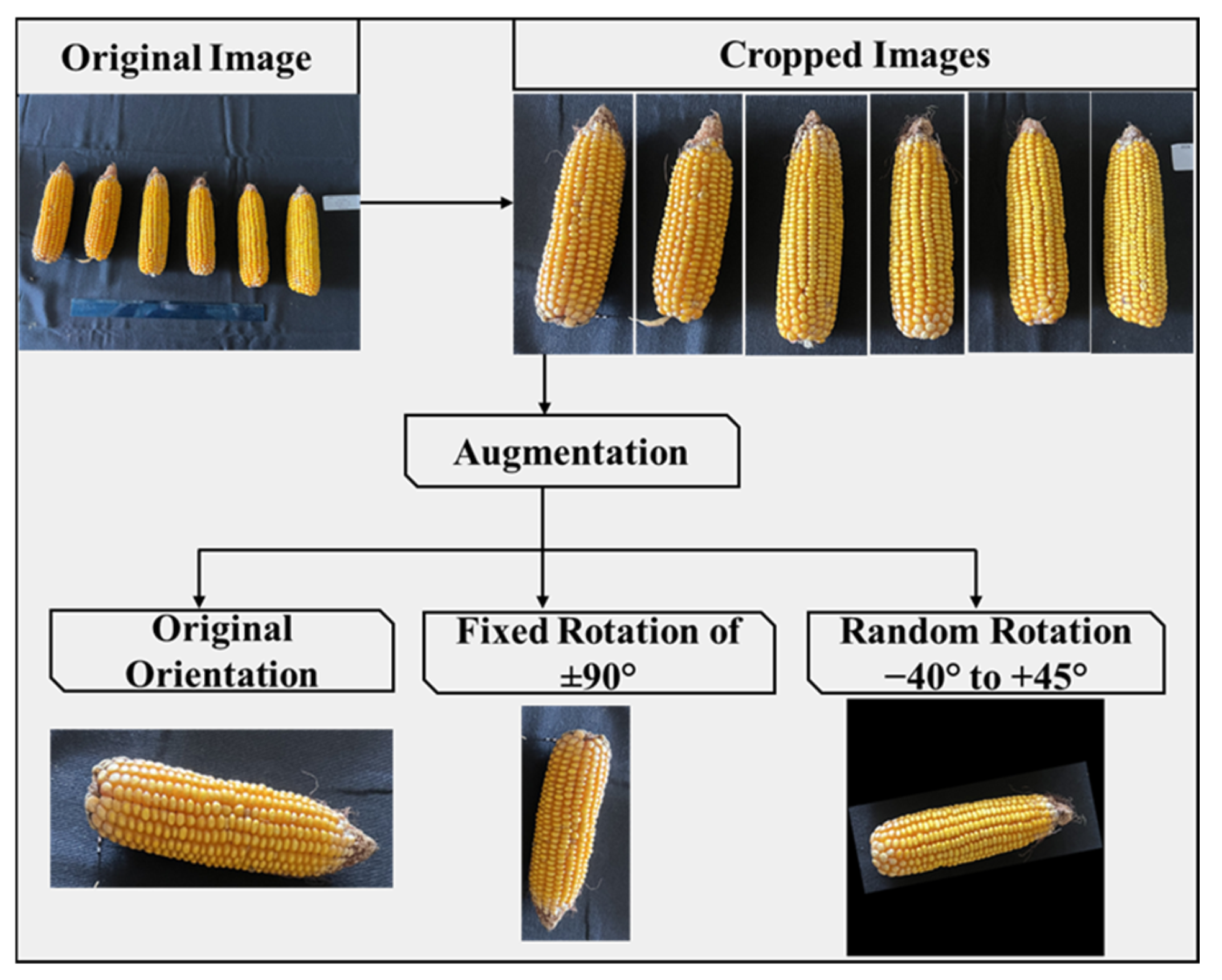 Agriengineering 08 00146 g003 Agriengineering 08 00146 g003