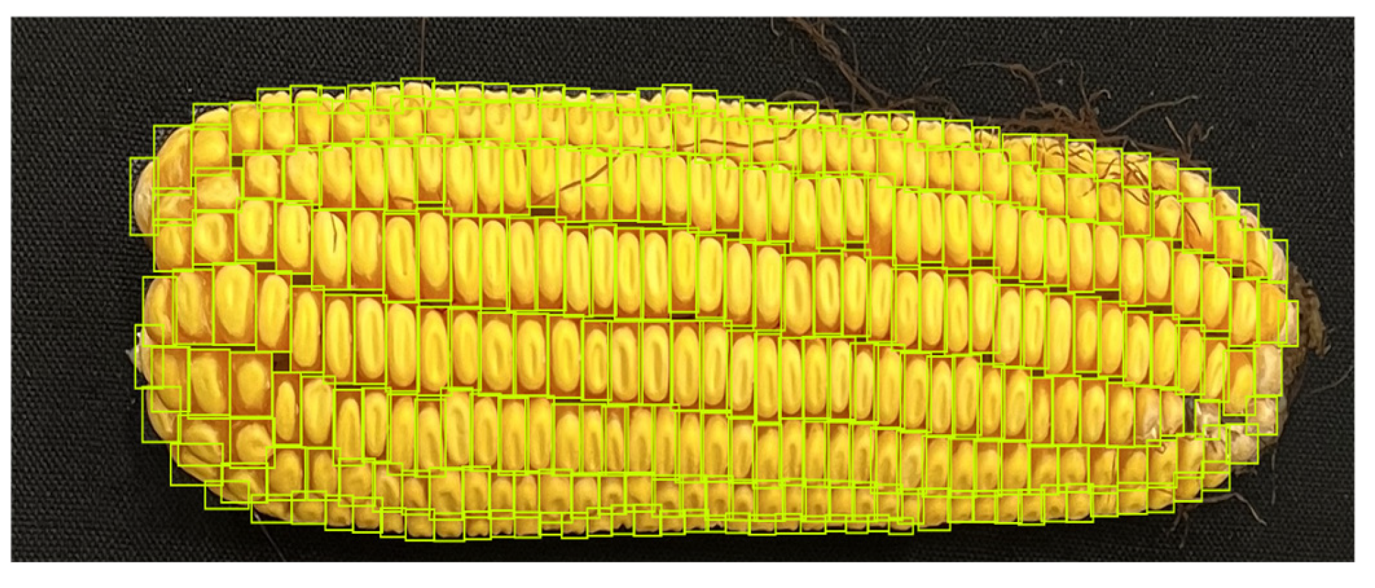 Agriengineering 08 00146 g004 Agriengineering 08 00146 g004
