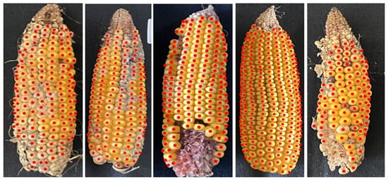 Agriengineering 08 00146 g0a3