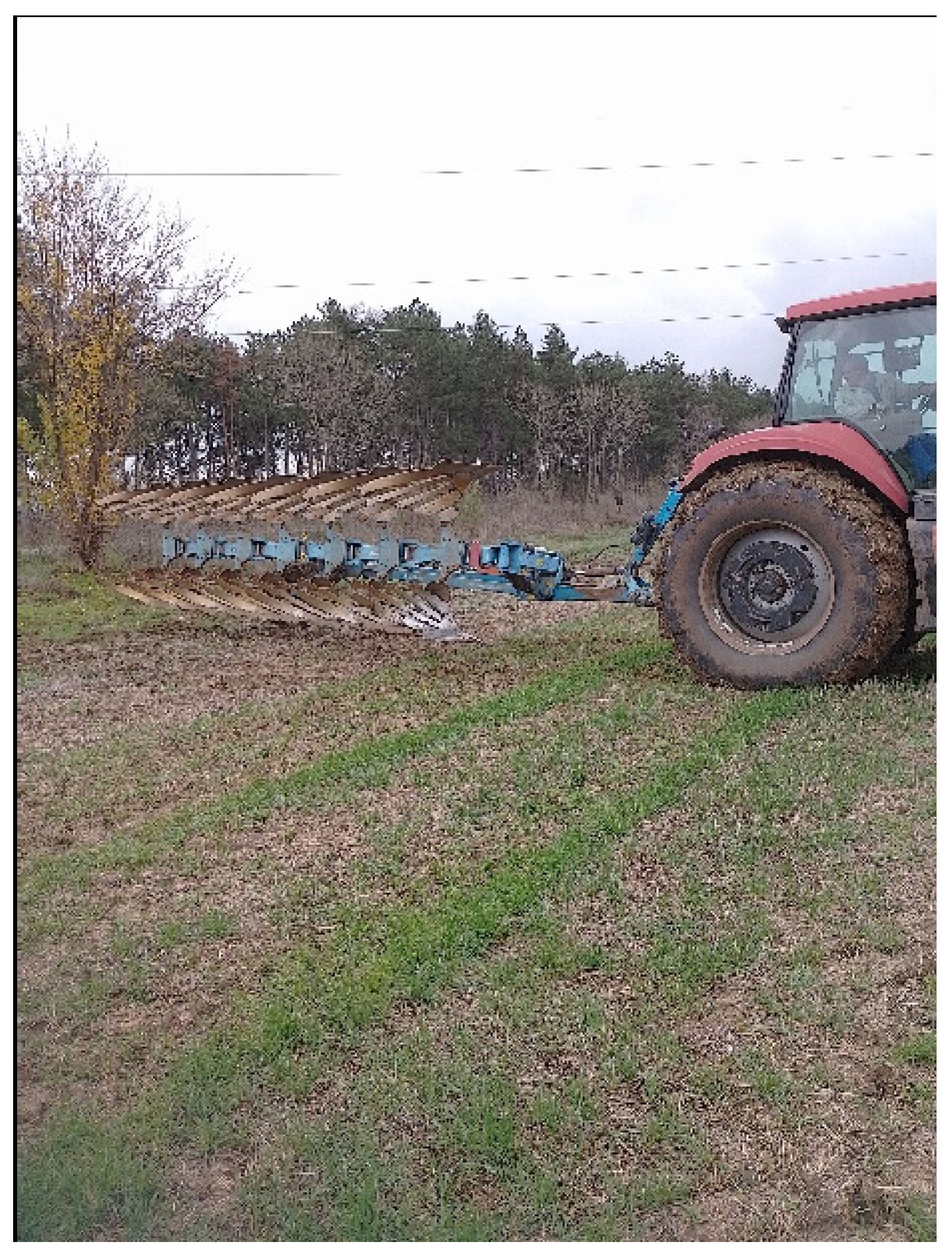 Agriengineering 08 00181 g002 Agriengineering 08 00181 g002