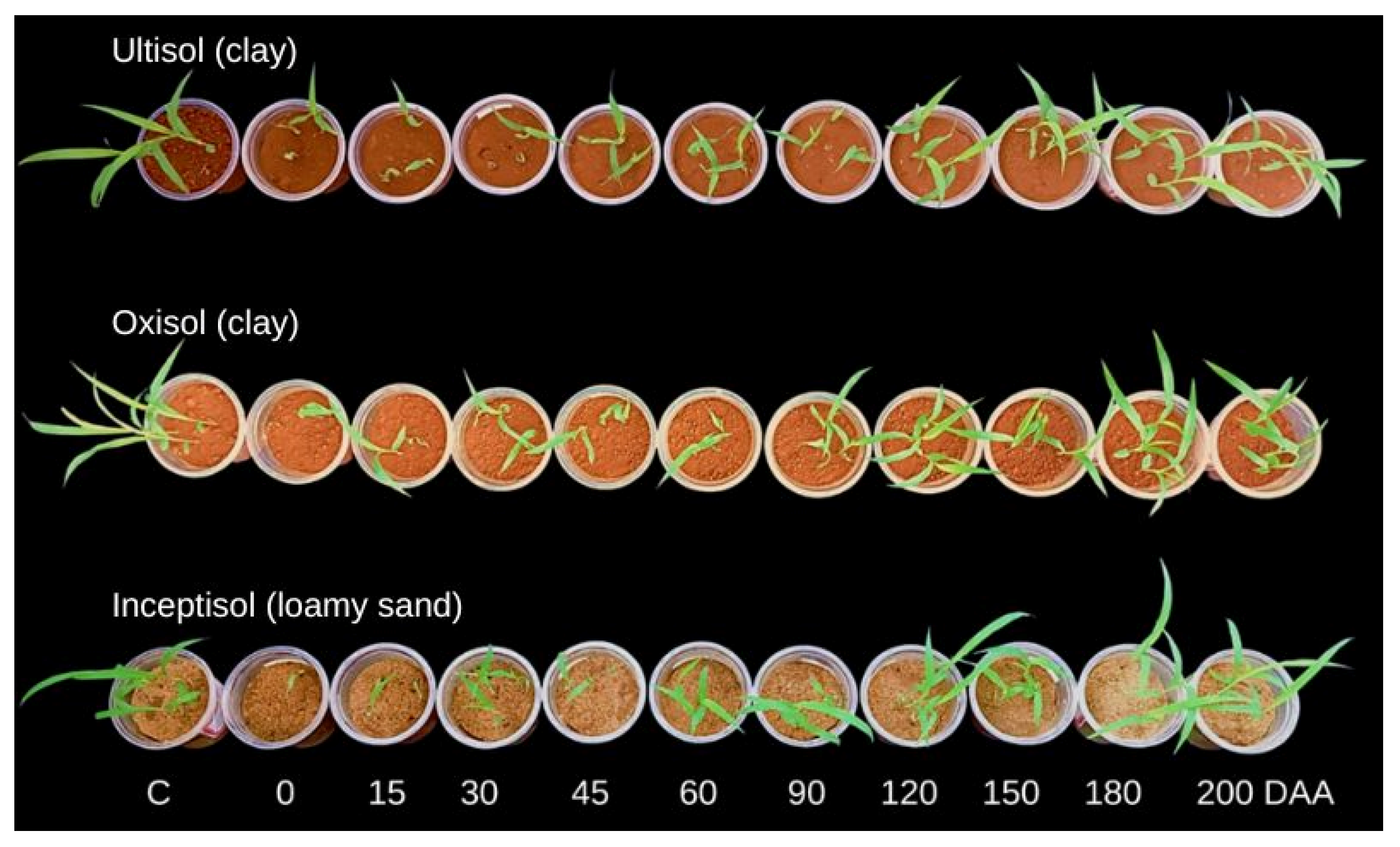 Agrochemicals 02 00003 g001