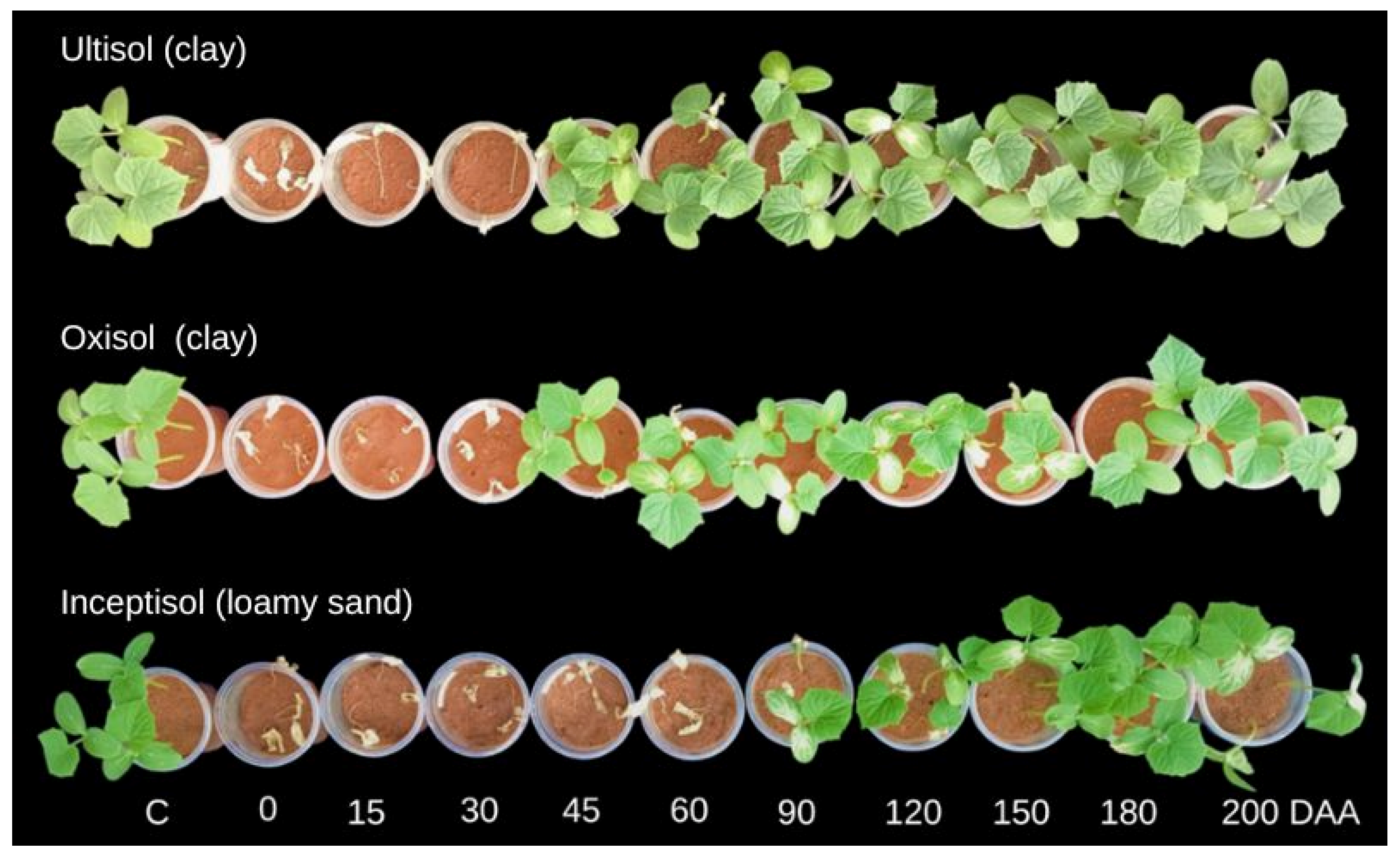 Agrochemicals 02 00003 g003