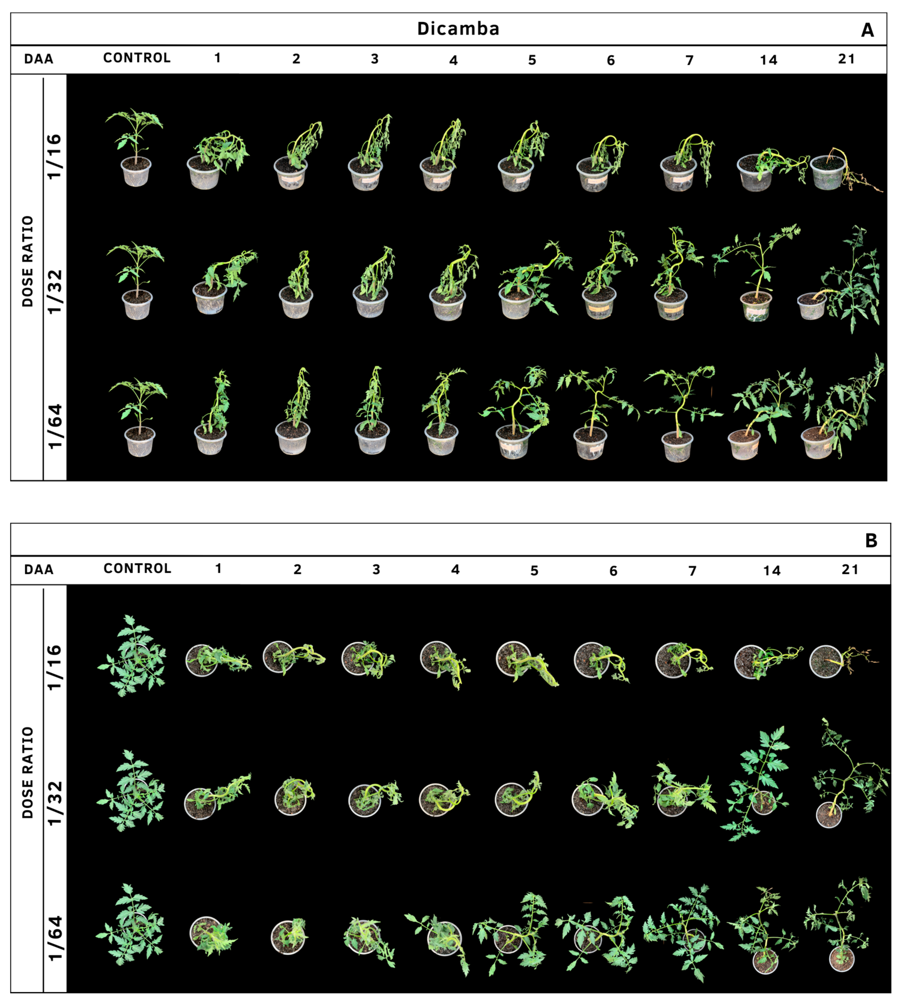 Agrochemicals 02 00011 g003