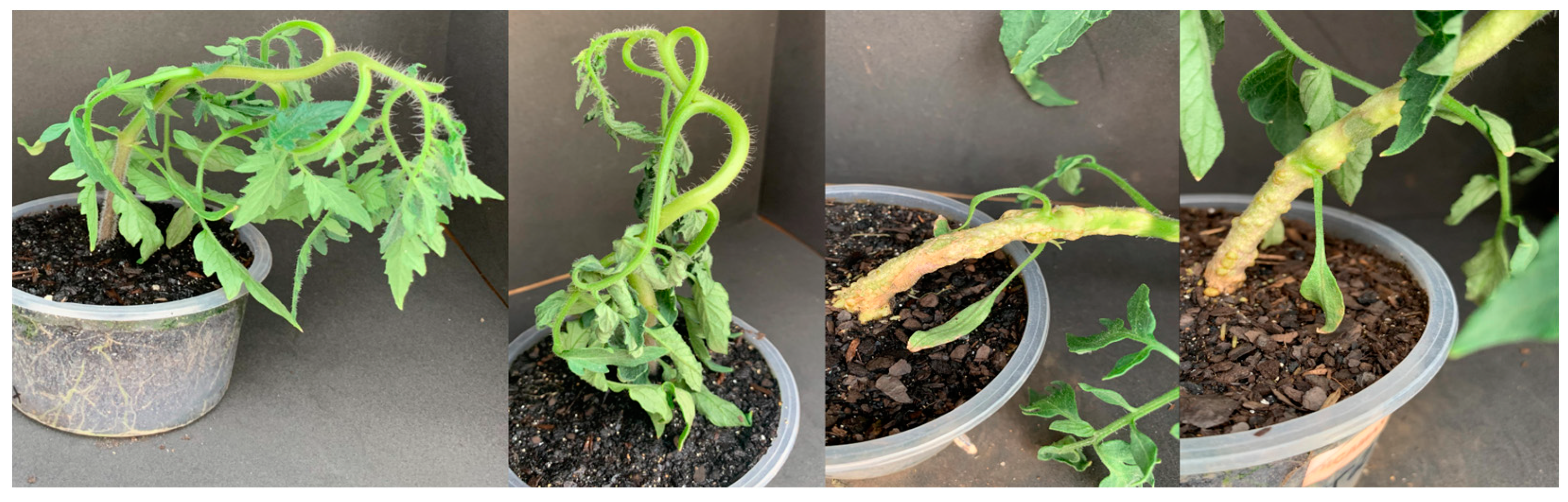 Agrochemicals 02 00011 g004