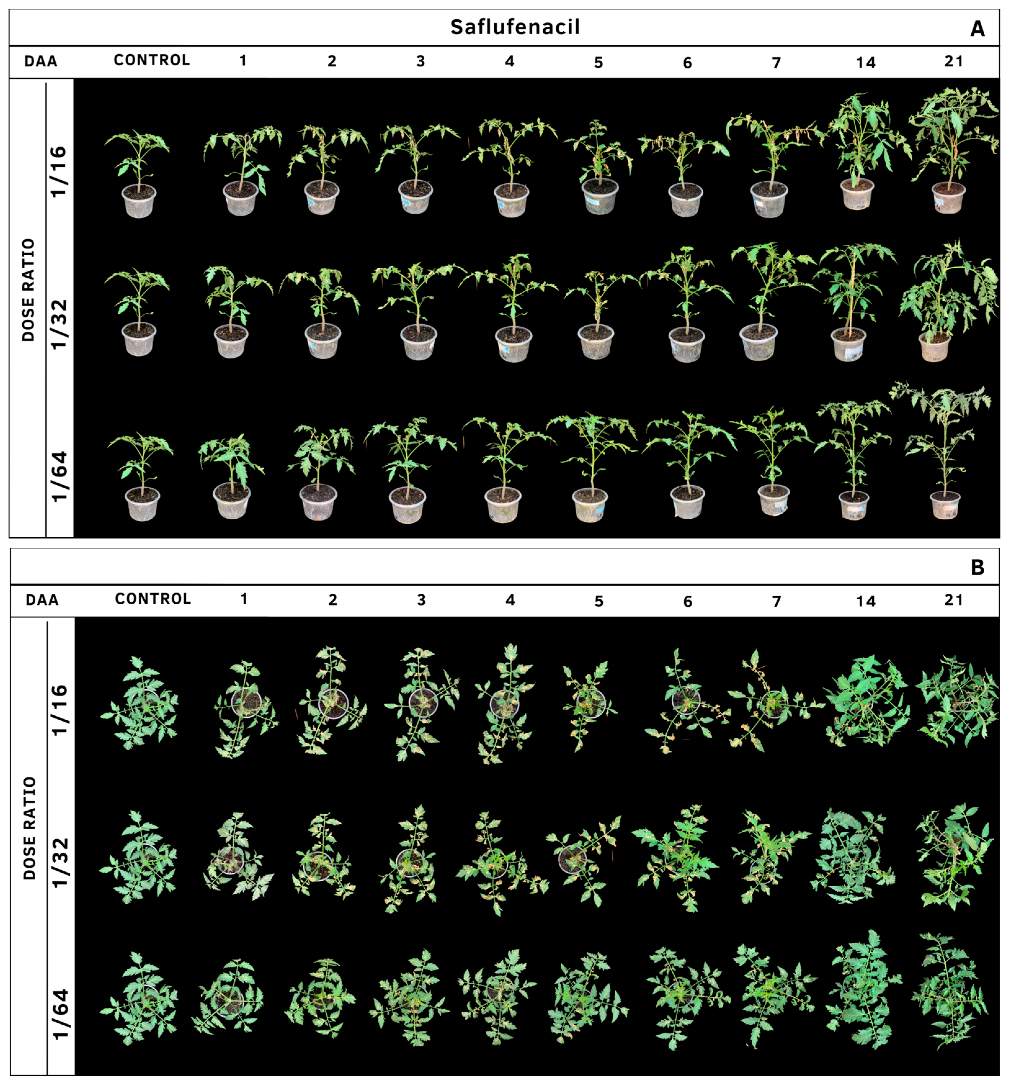 Agrochemicals 02 00011 g007