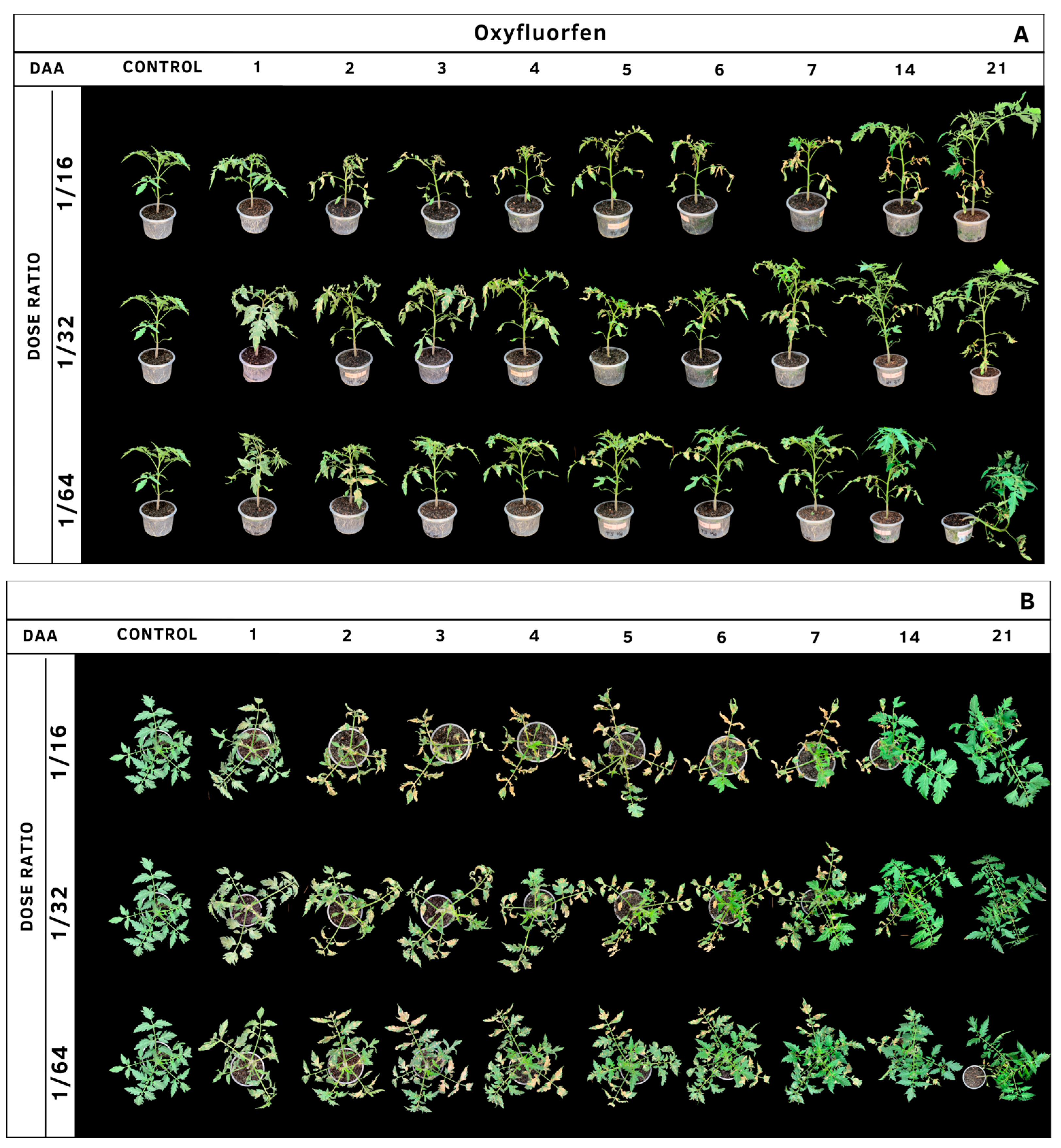 Agrochemicals 02 00011 g009