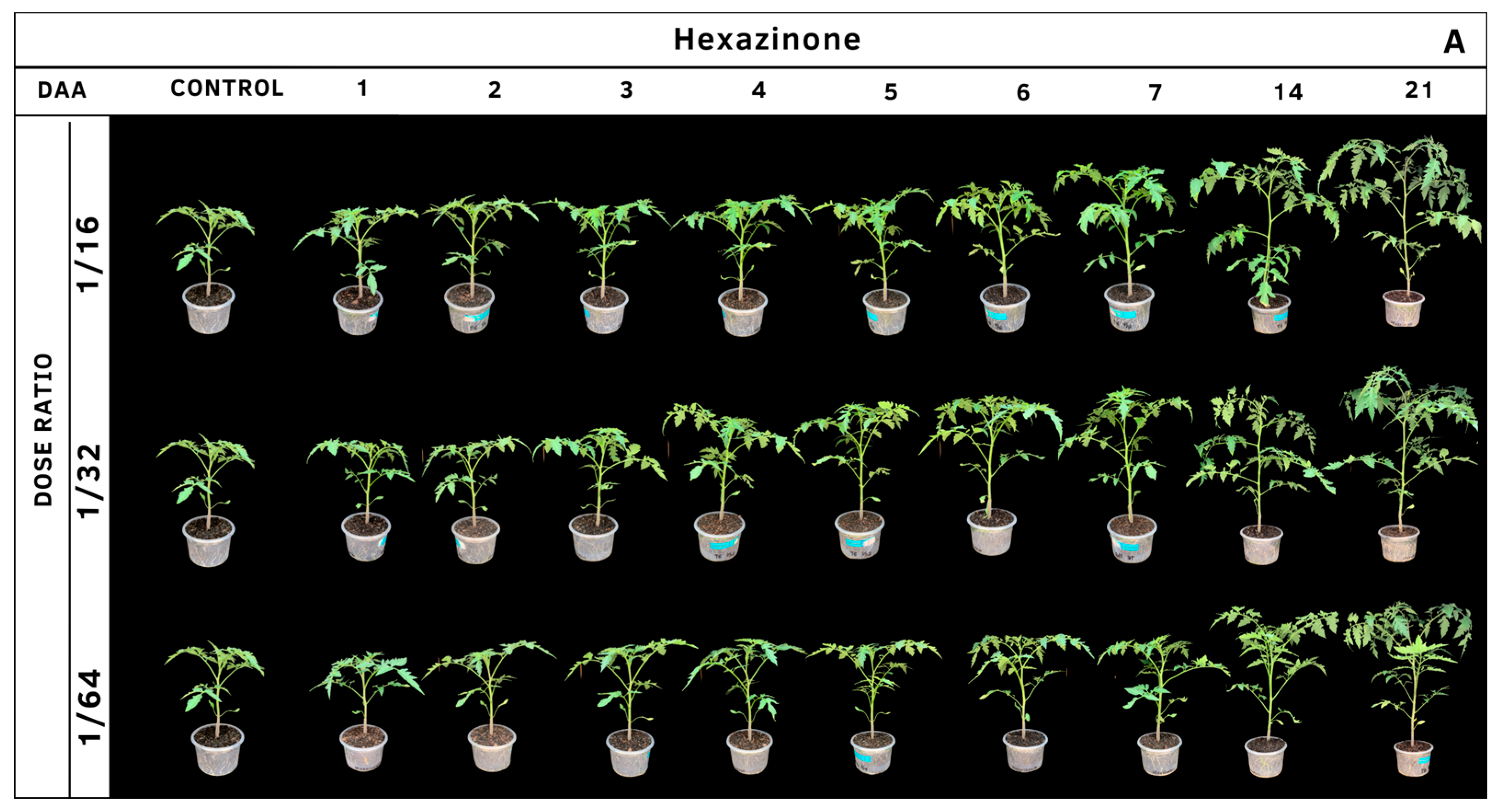 Agrochemicals 02 00011 g011a