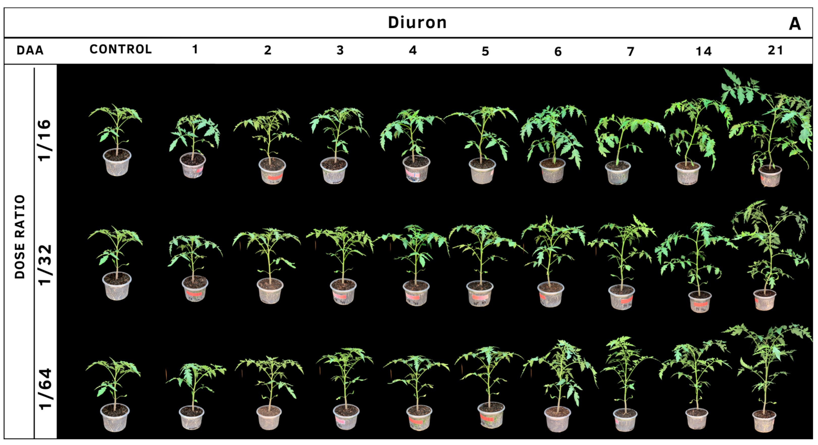 Agrochemicals 02 00011 g013a