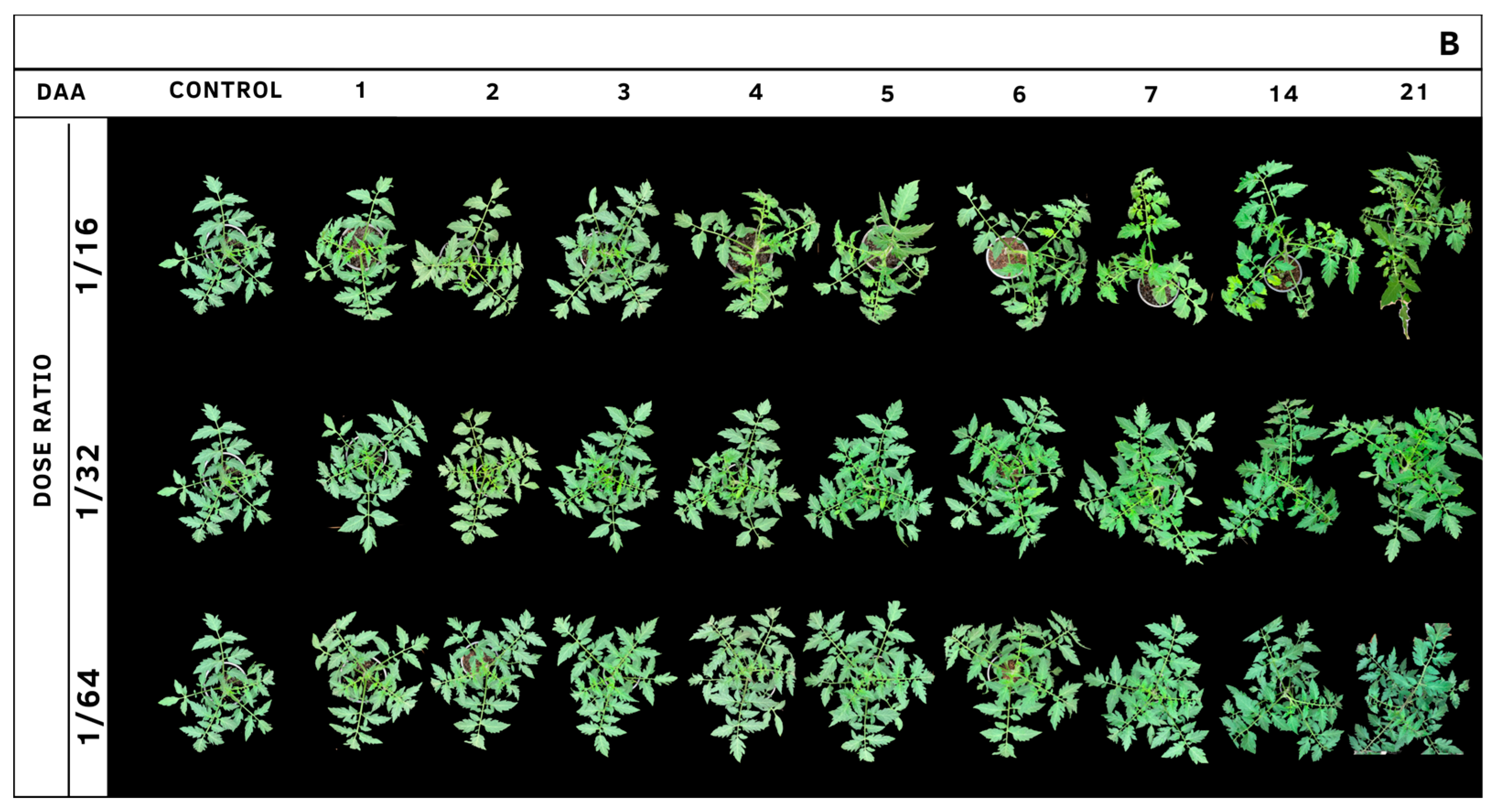 Agrochemicals 02 00011 g013b