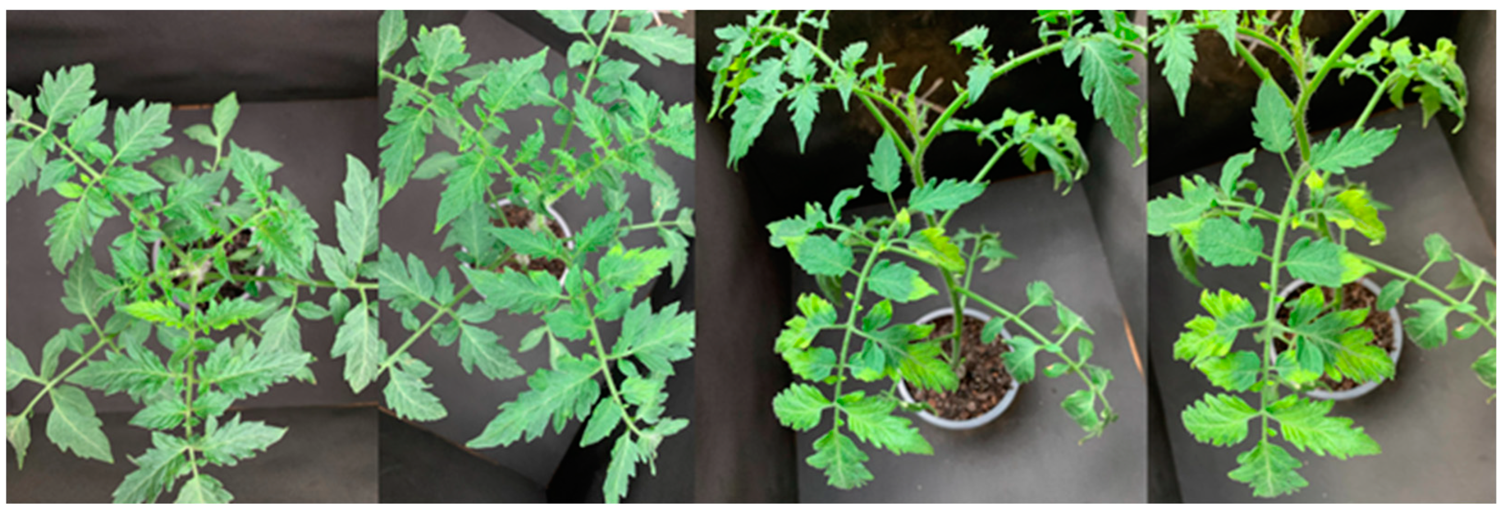 Agrochemicals 02 00011 g014