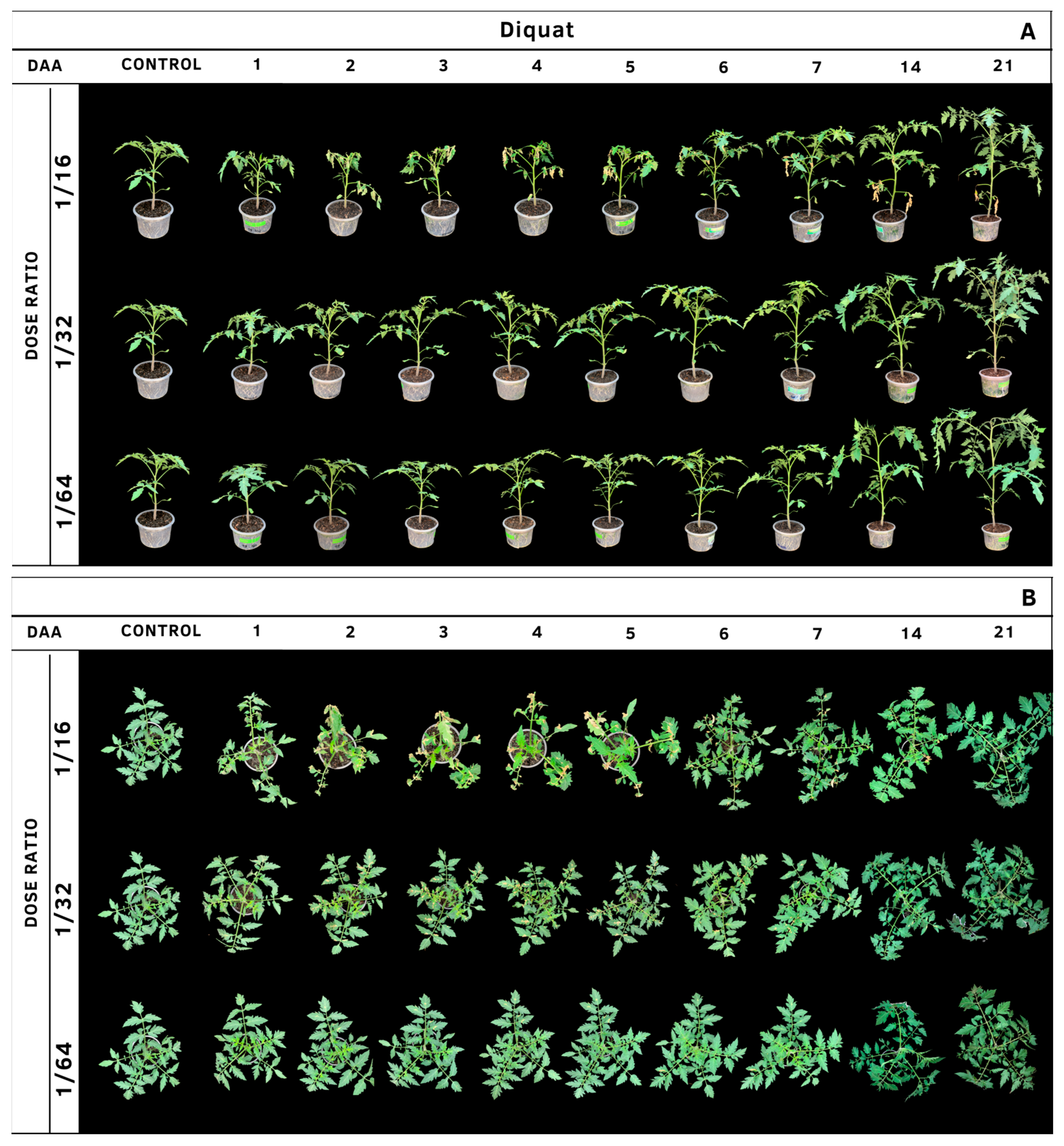 Agrochemicals 02 00011 g015