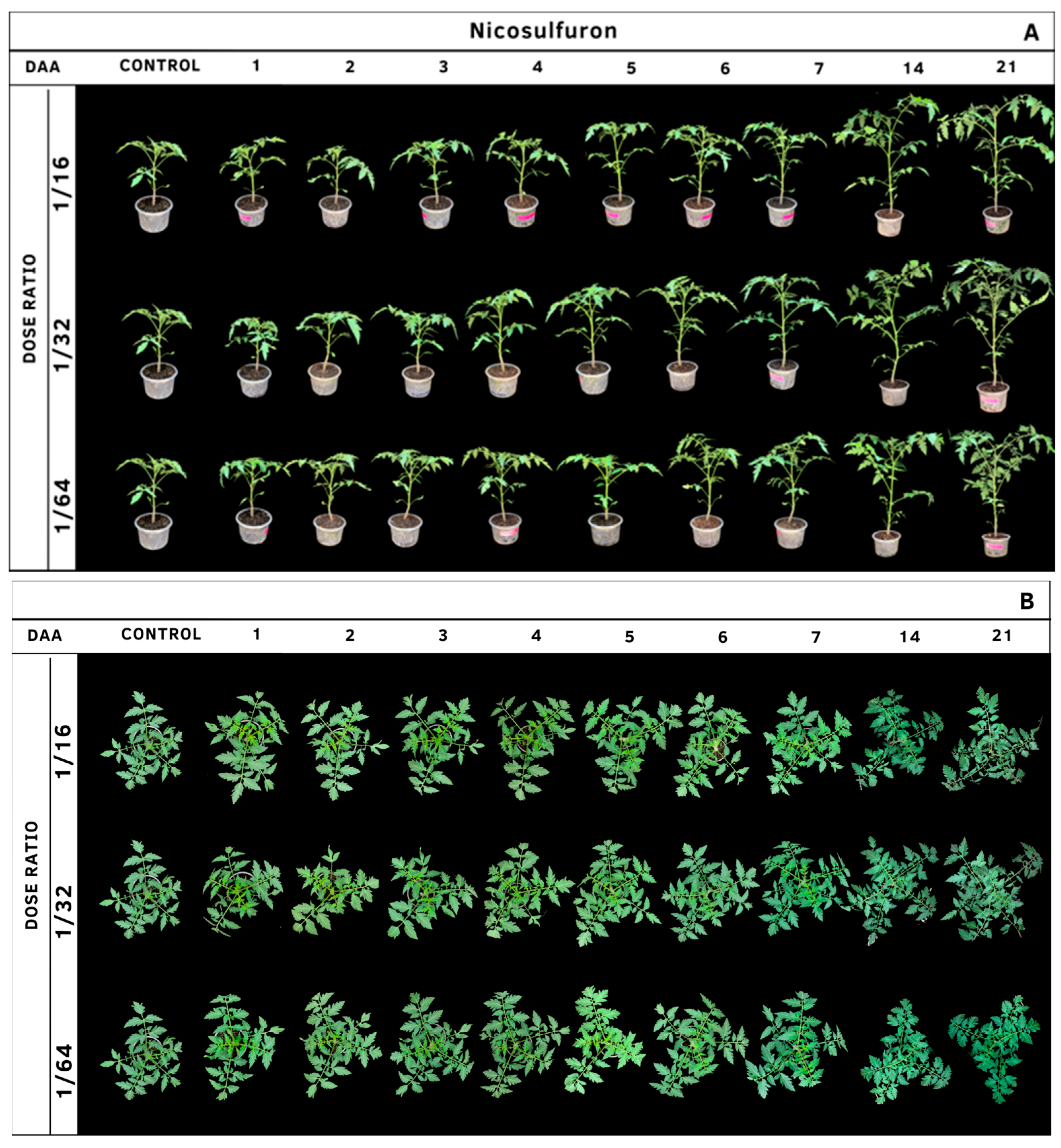 Agrochemicals 02 00011 g017