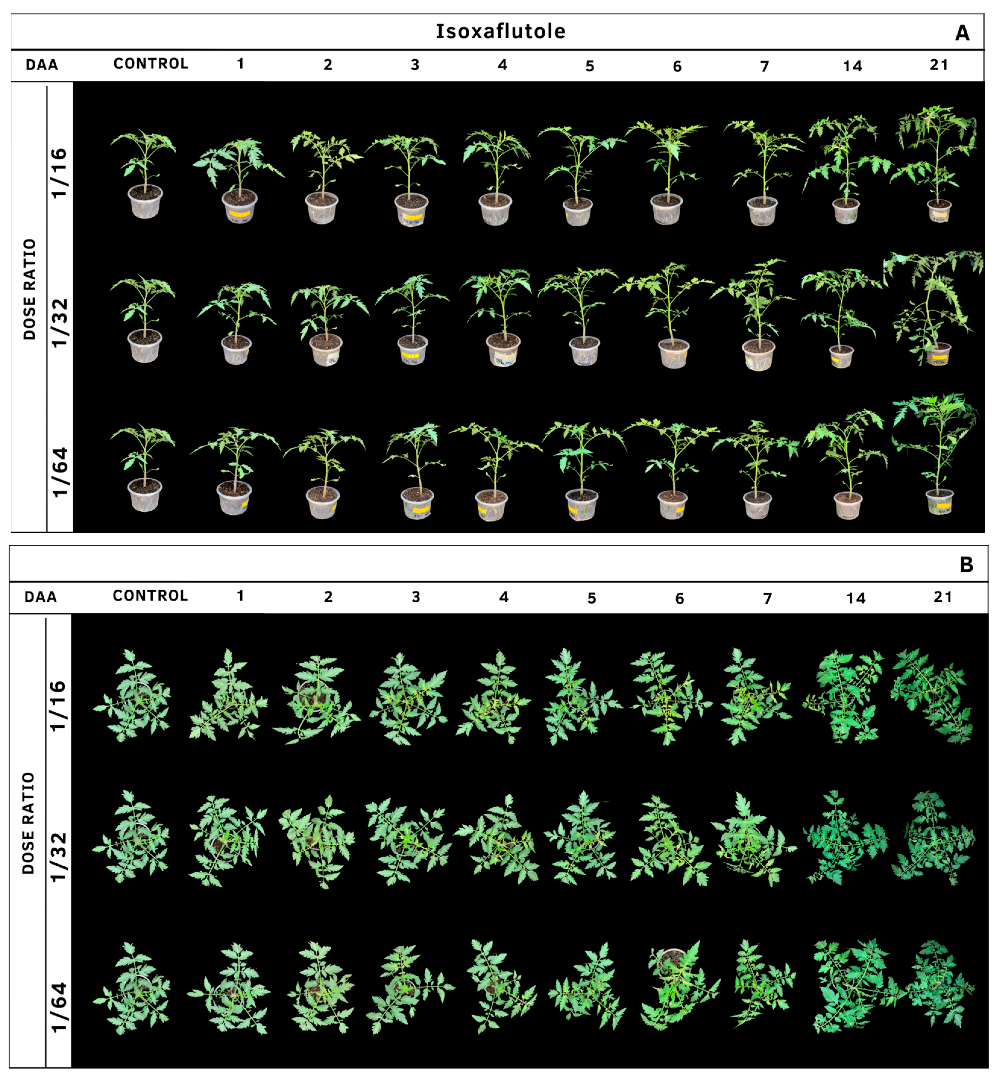 Agrochemicals 02 00011 g018