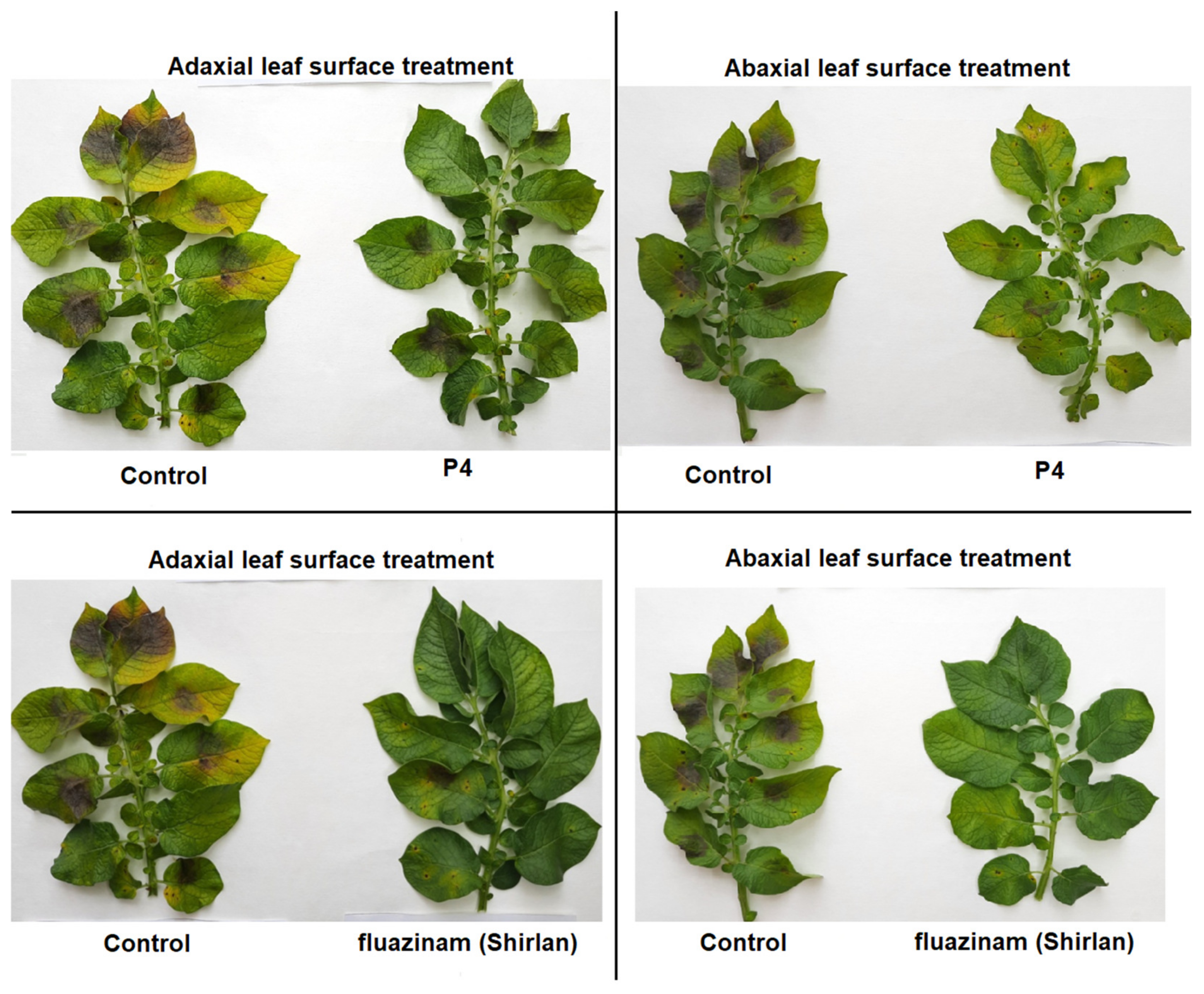 Agrochemicals 02 00021 g002