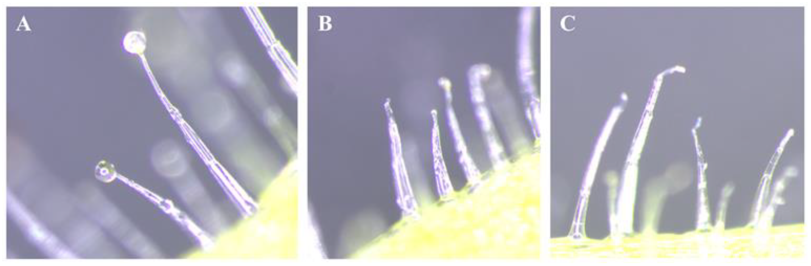 Agrochemicals 02 00034 g001