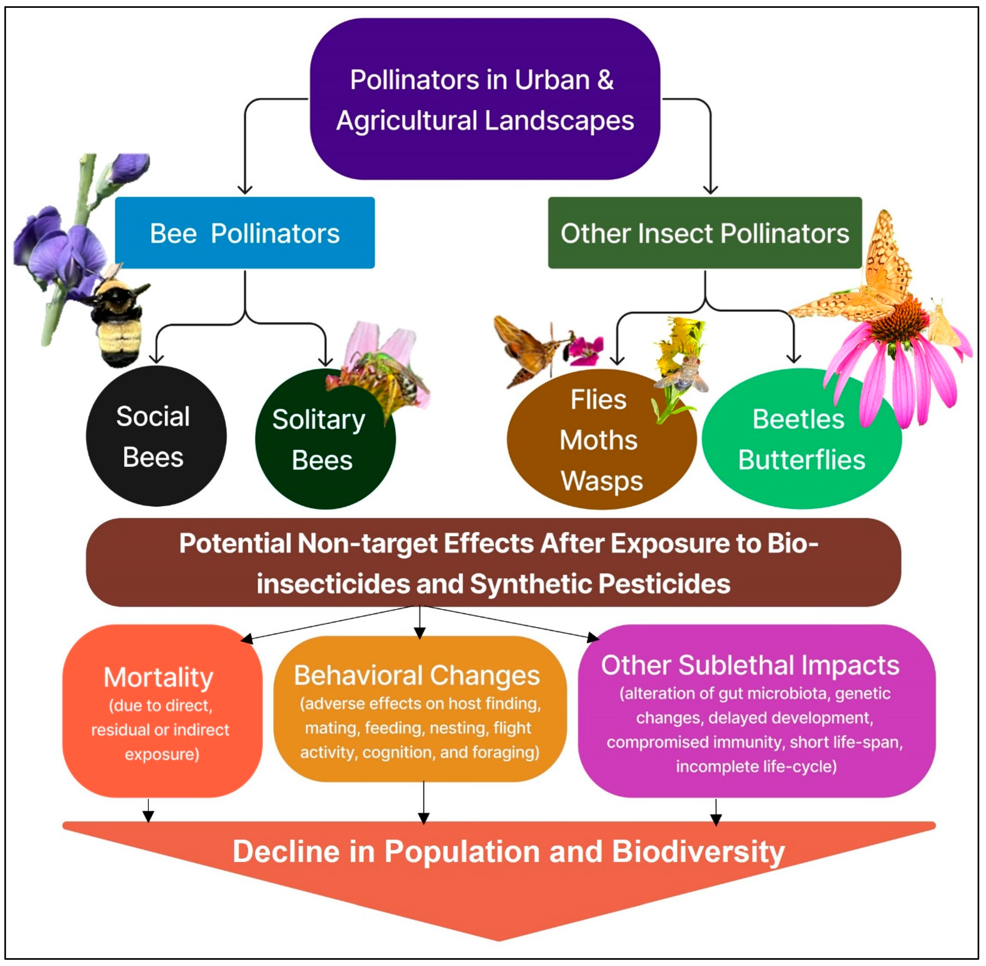 Agrochemicals 03 00007 g001