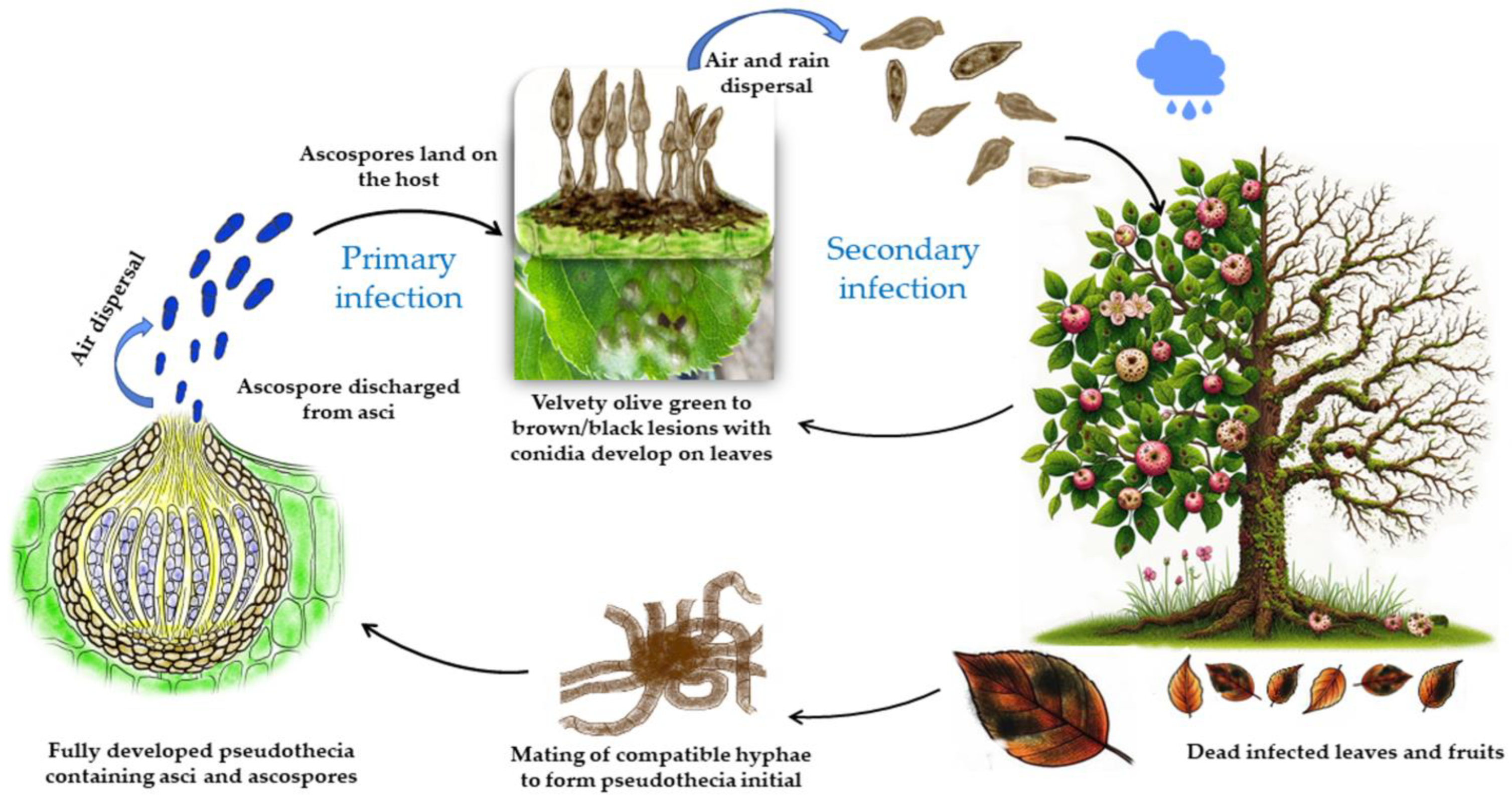 Agrochemicals 03 00010 g001