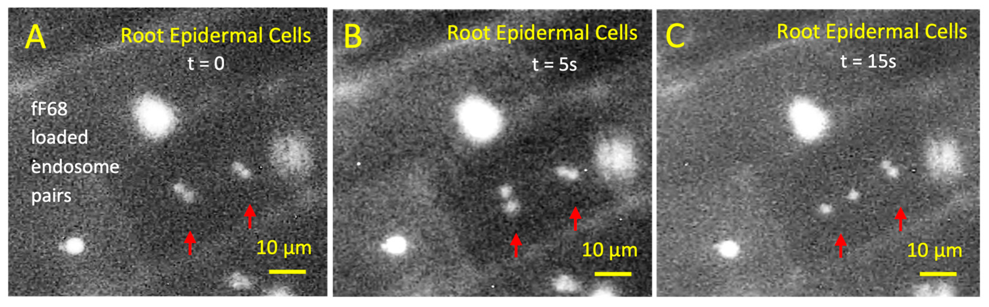 Agrochemicals 04 00012 g004