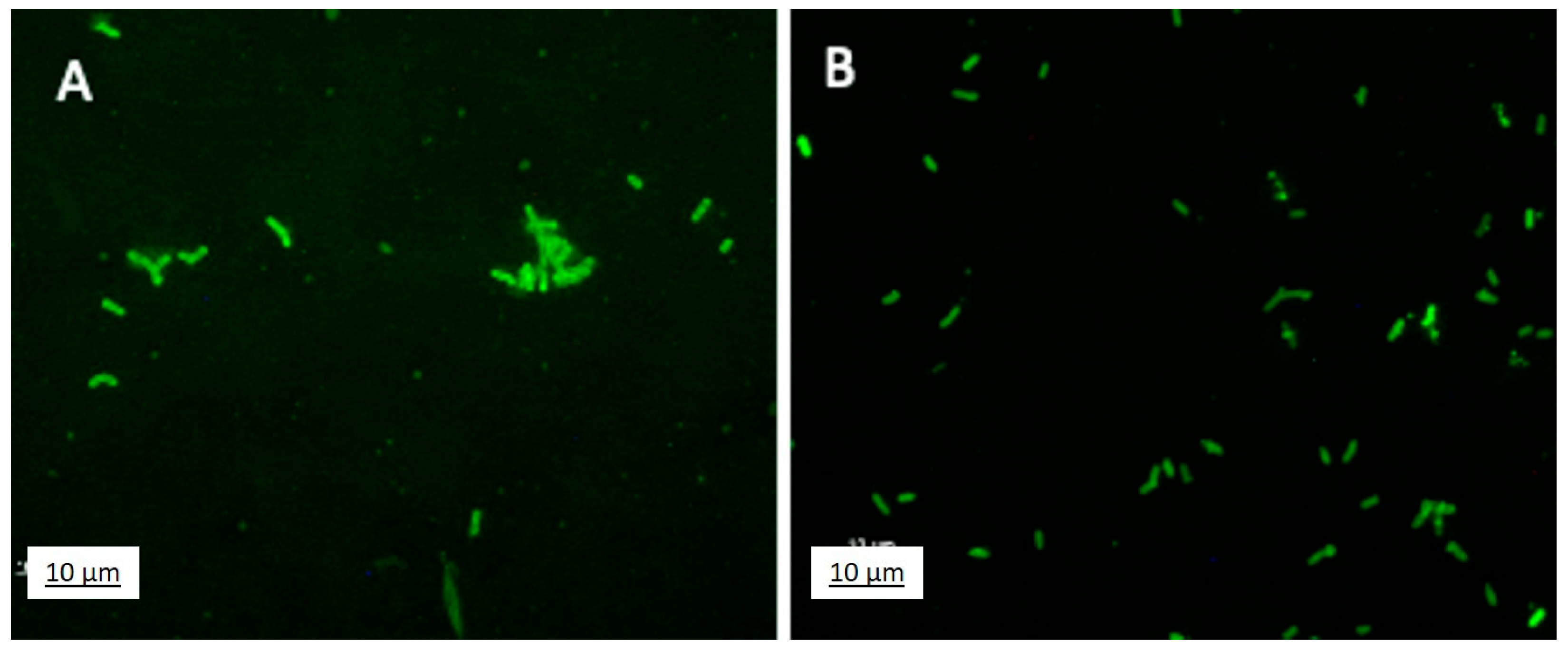 Agrochemicals 04 00012 g006