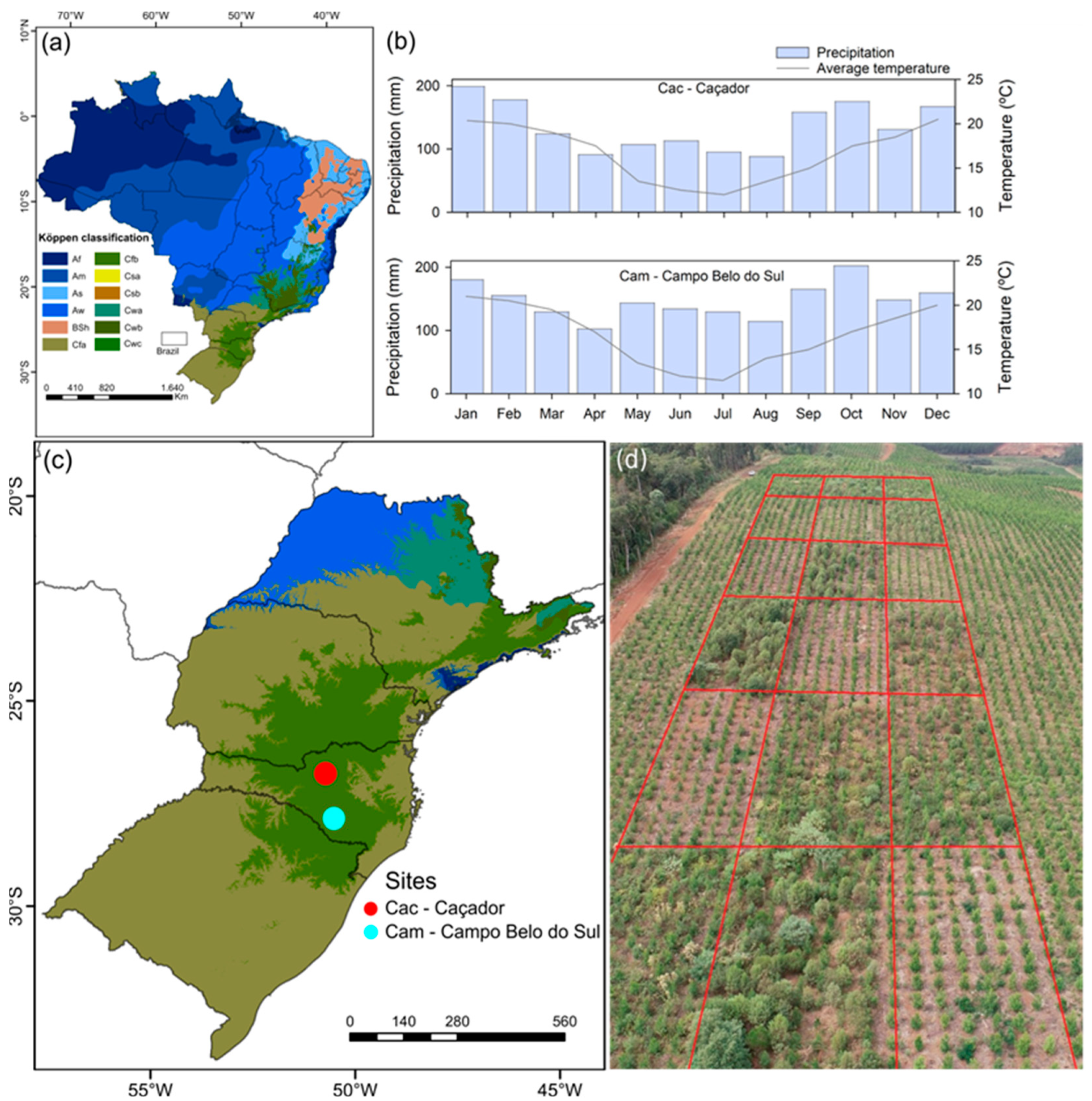 Agrochemicals 04 00014 g001