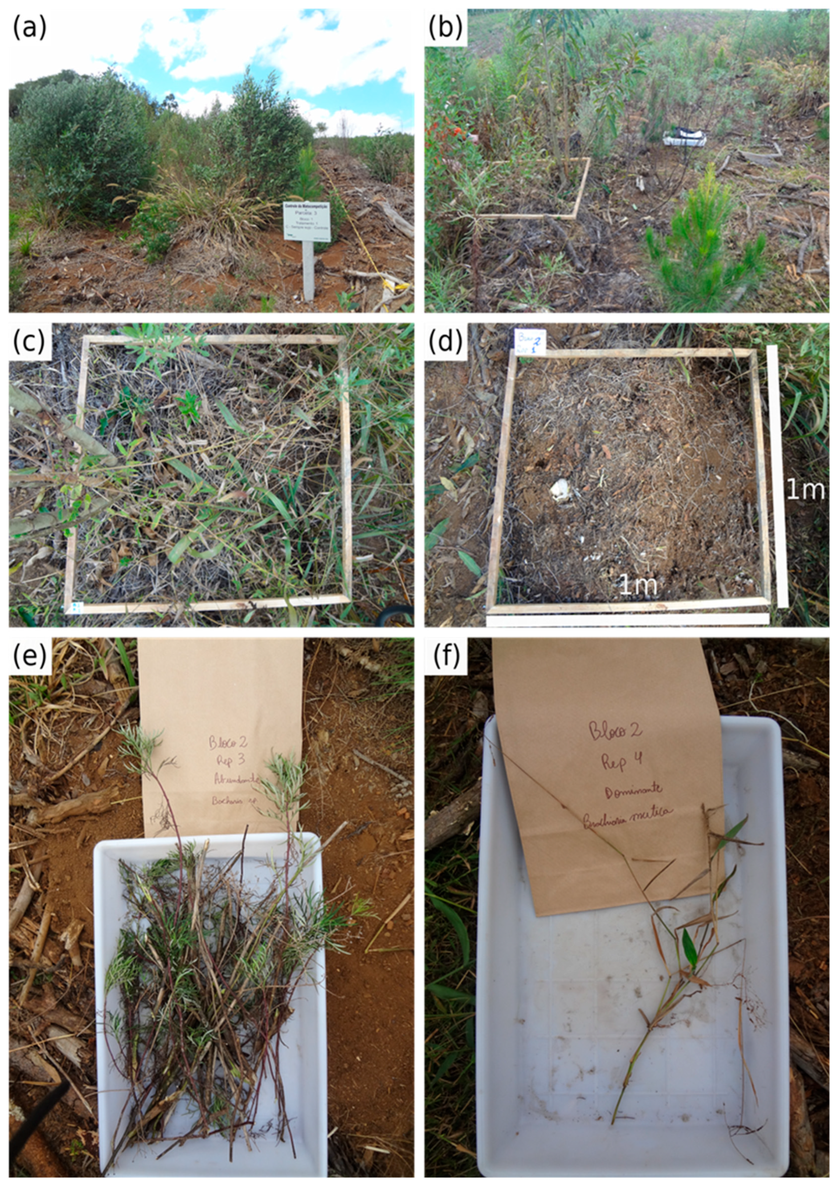 Agrochemicals 04 00014 g002