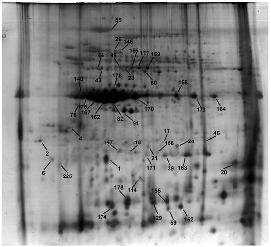 Agronomy 03 00059 g005 550