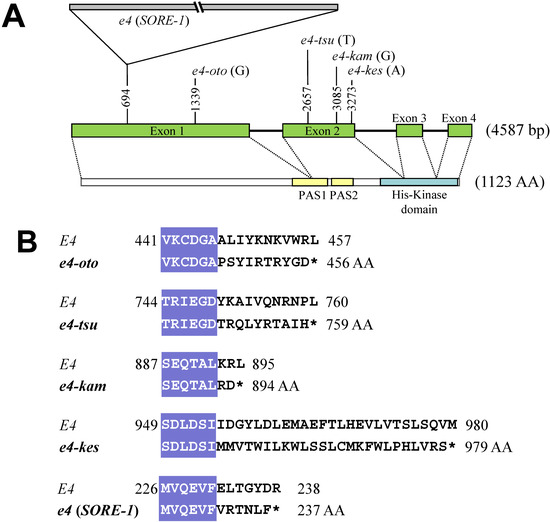 Agronomy 03 00117 g002 550