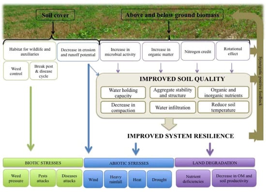 Agronomy 03 00148 g002 550