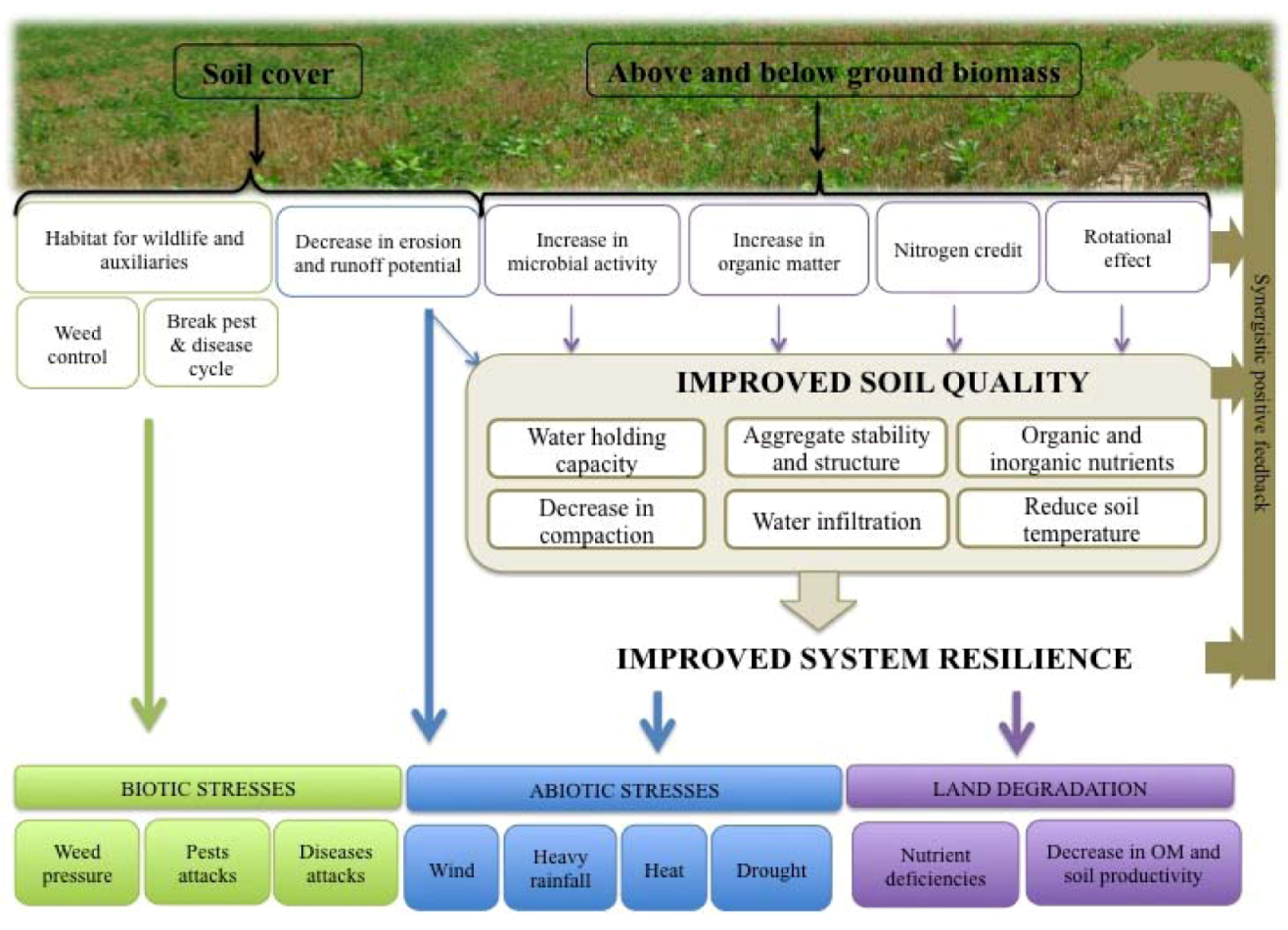 Agronomy 03 00148 g002