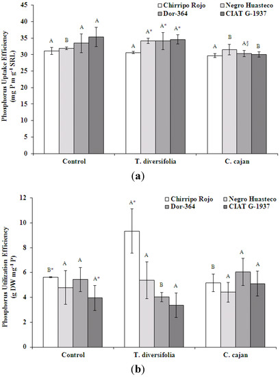 Agronomy 03 00232 g002 550