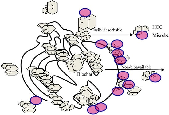 Agronomy 03 00349 g002 550