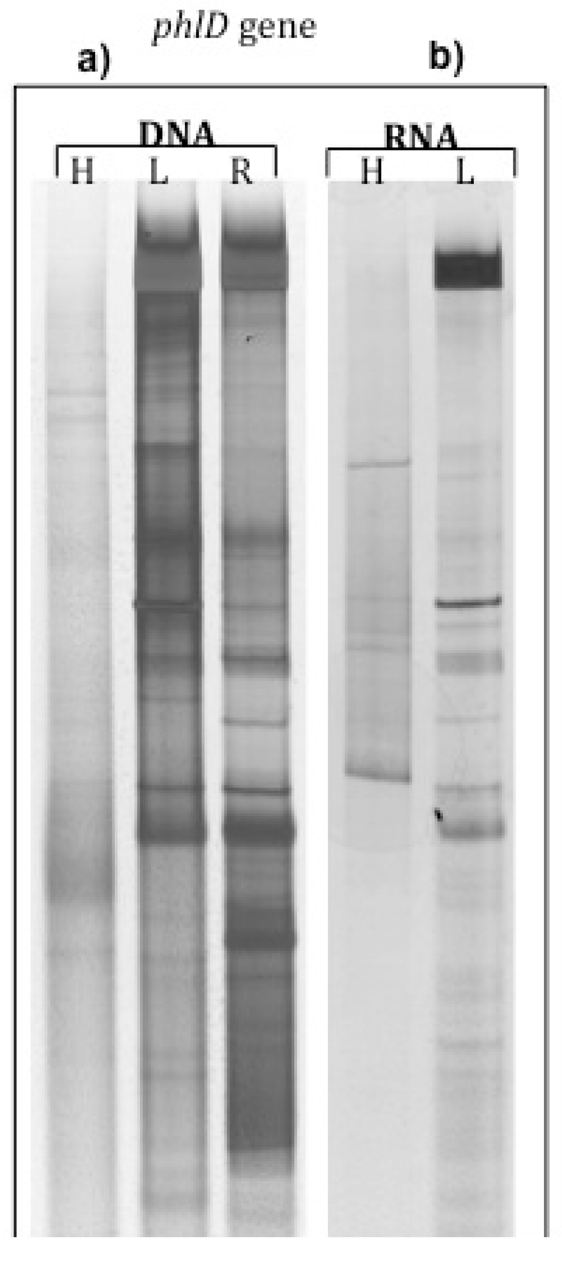 Agronomy 03 00621 g001