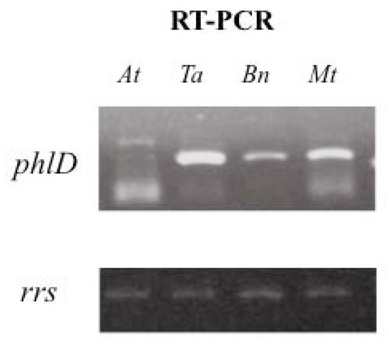 Agronomy 03 00621 g002 550
