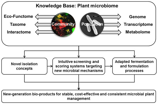 Agronomy 03 00648 g002 550