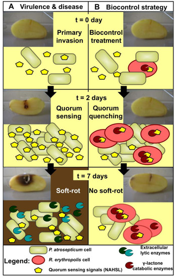 Agronomy 03 00816 g001 550