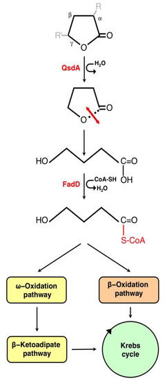 Agronomy 03 00816 g002 550