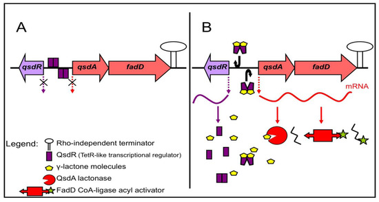 Agronomy 03 00816 g003 550