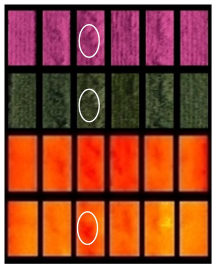 Agronomy 04 00279 g009 550