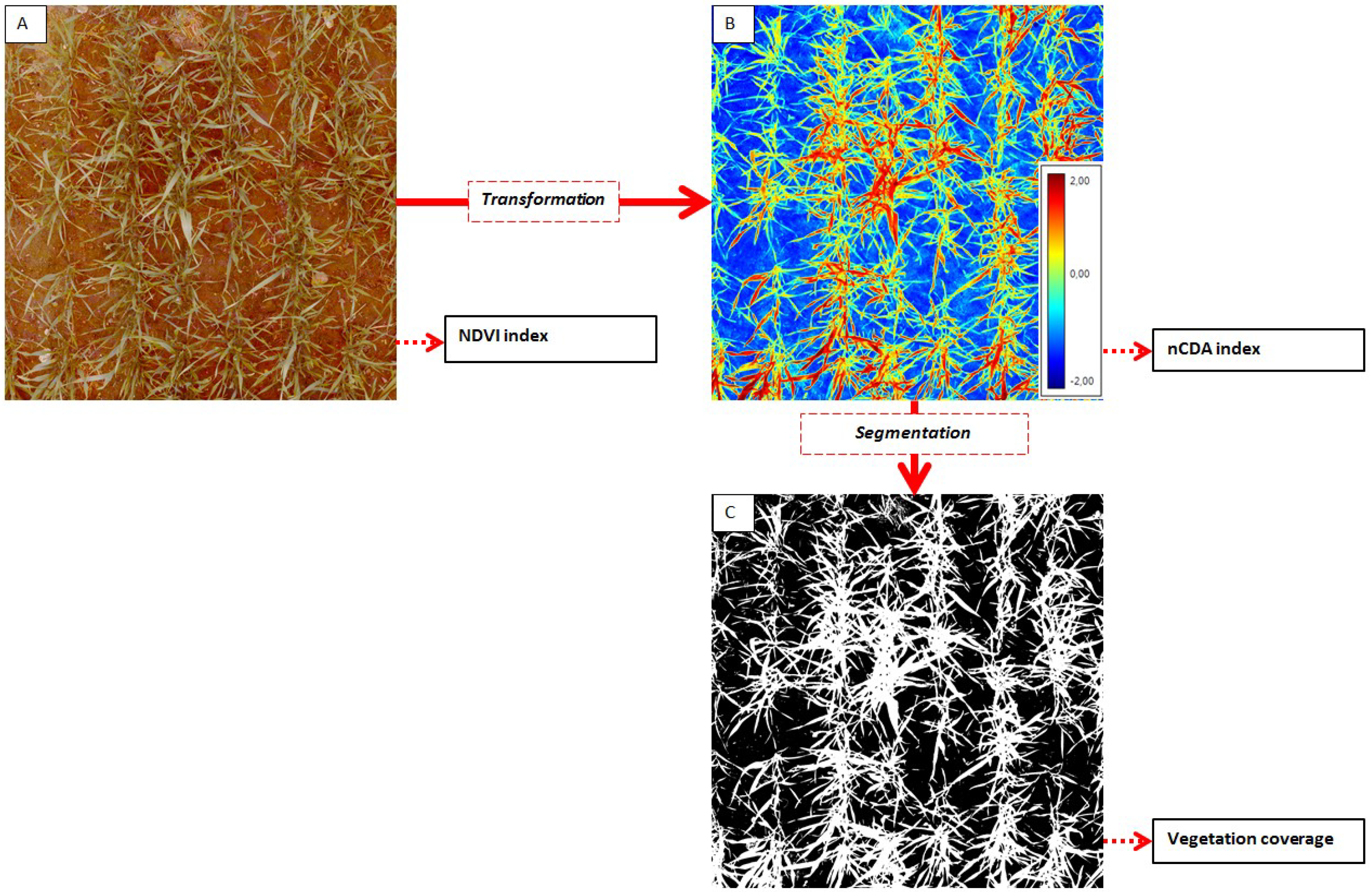 Agronomy 04 00322 g003