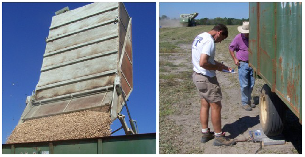 Agronomy 04 00337 g005 1024