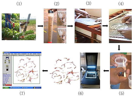 Agronomy 04 00418 g002 550
