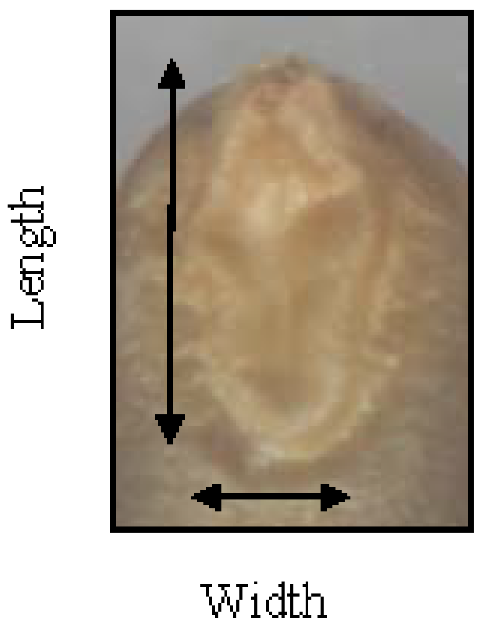 Agronomy 05 00152 g009 1024