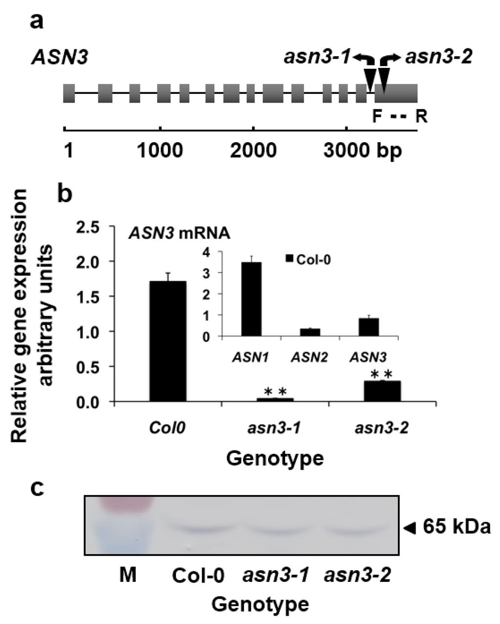 Agronomy 06 00012 g001 1024