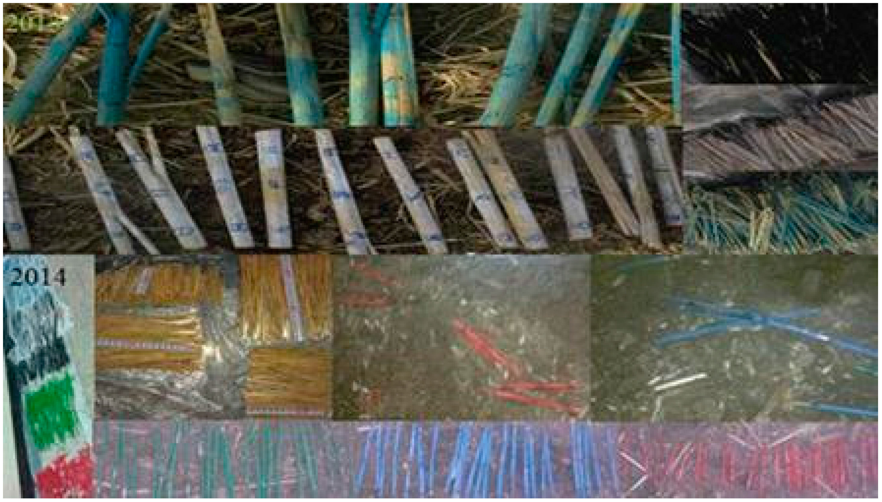 Agronomy 06 00030 g005