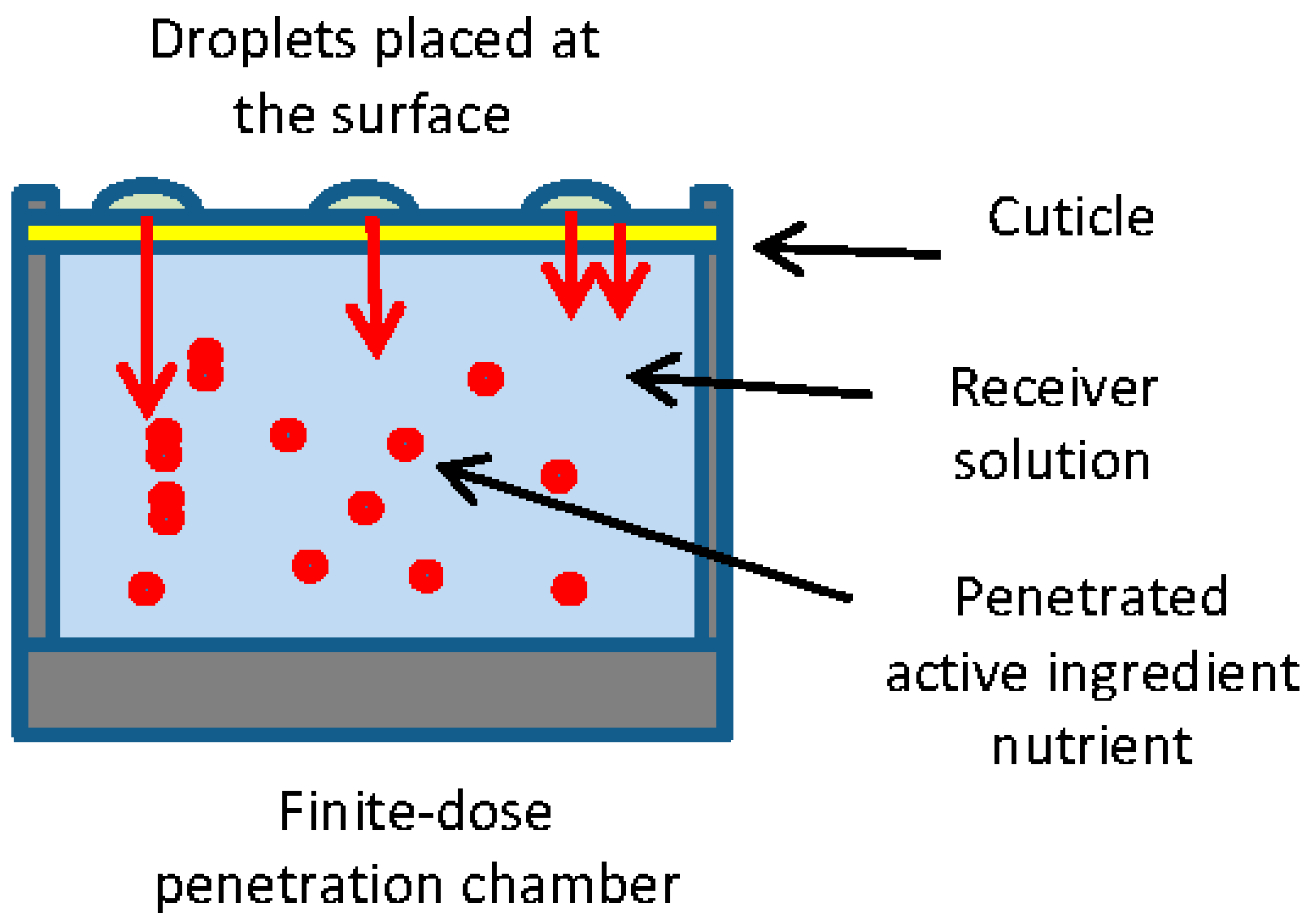 Agronomy 06 00039 g001