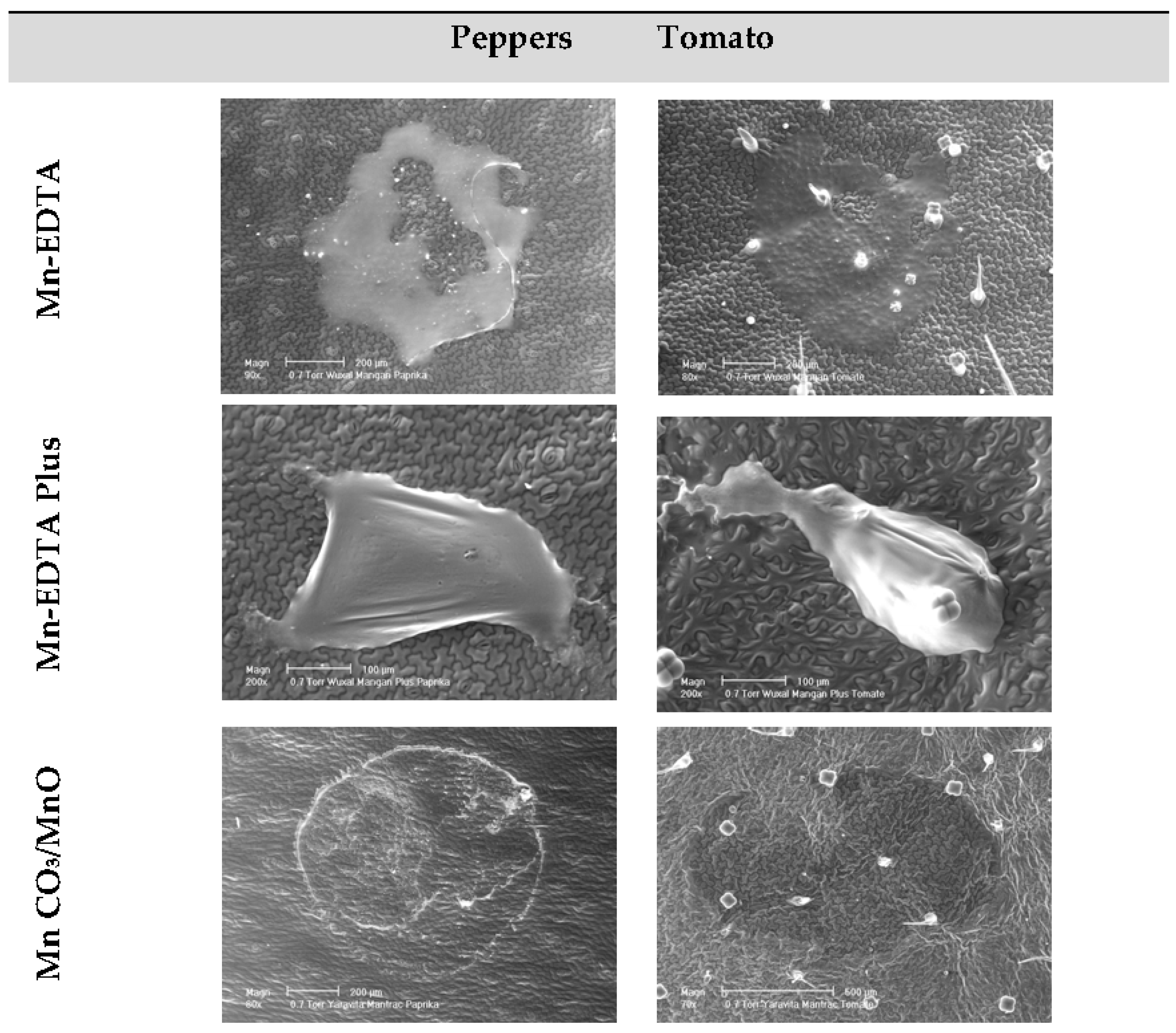 Agronomy 06 00039 g005