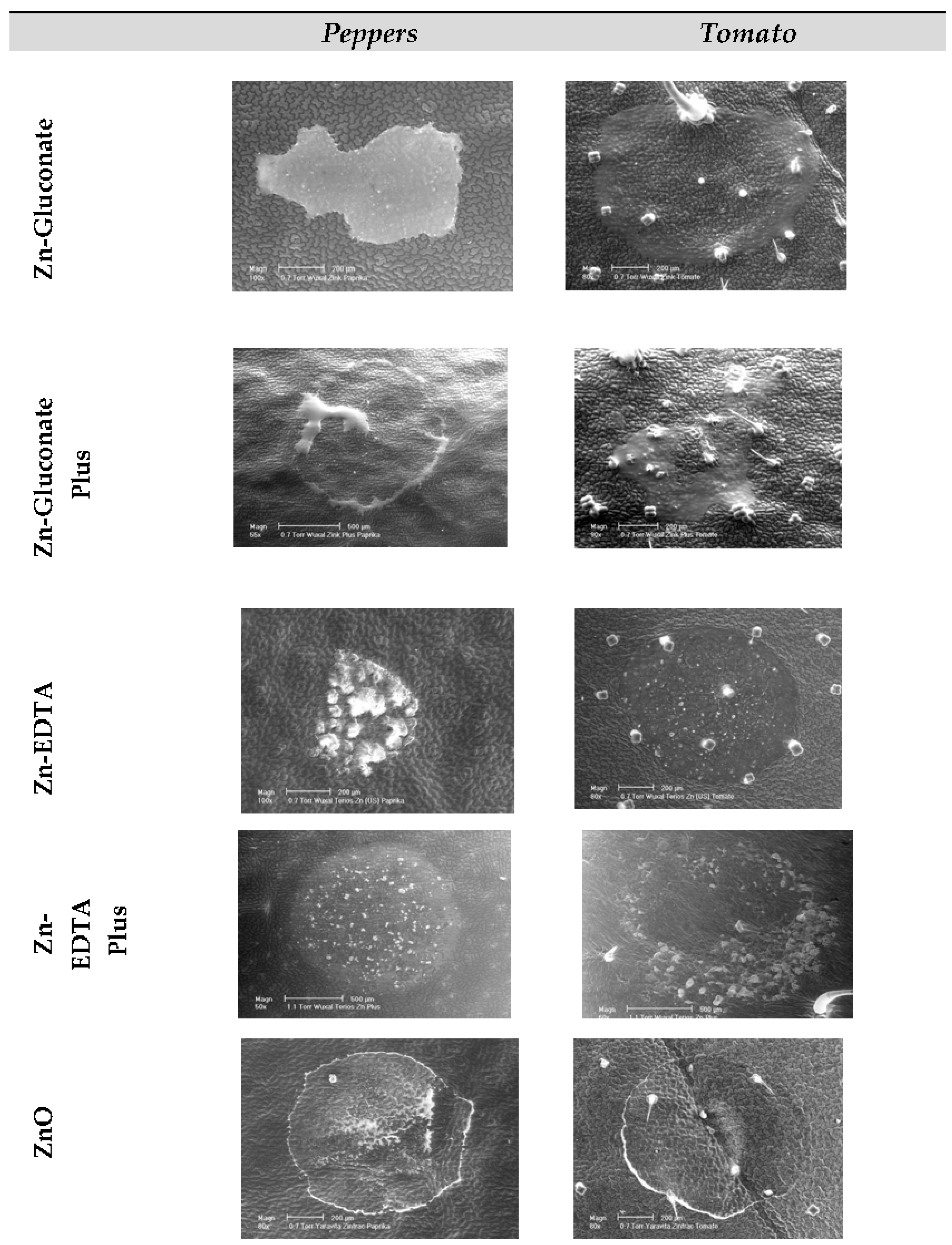 Agronomy 06 00039 g006