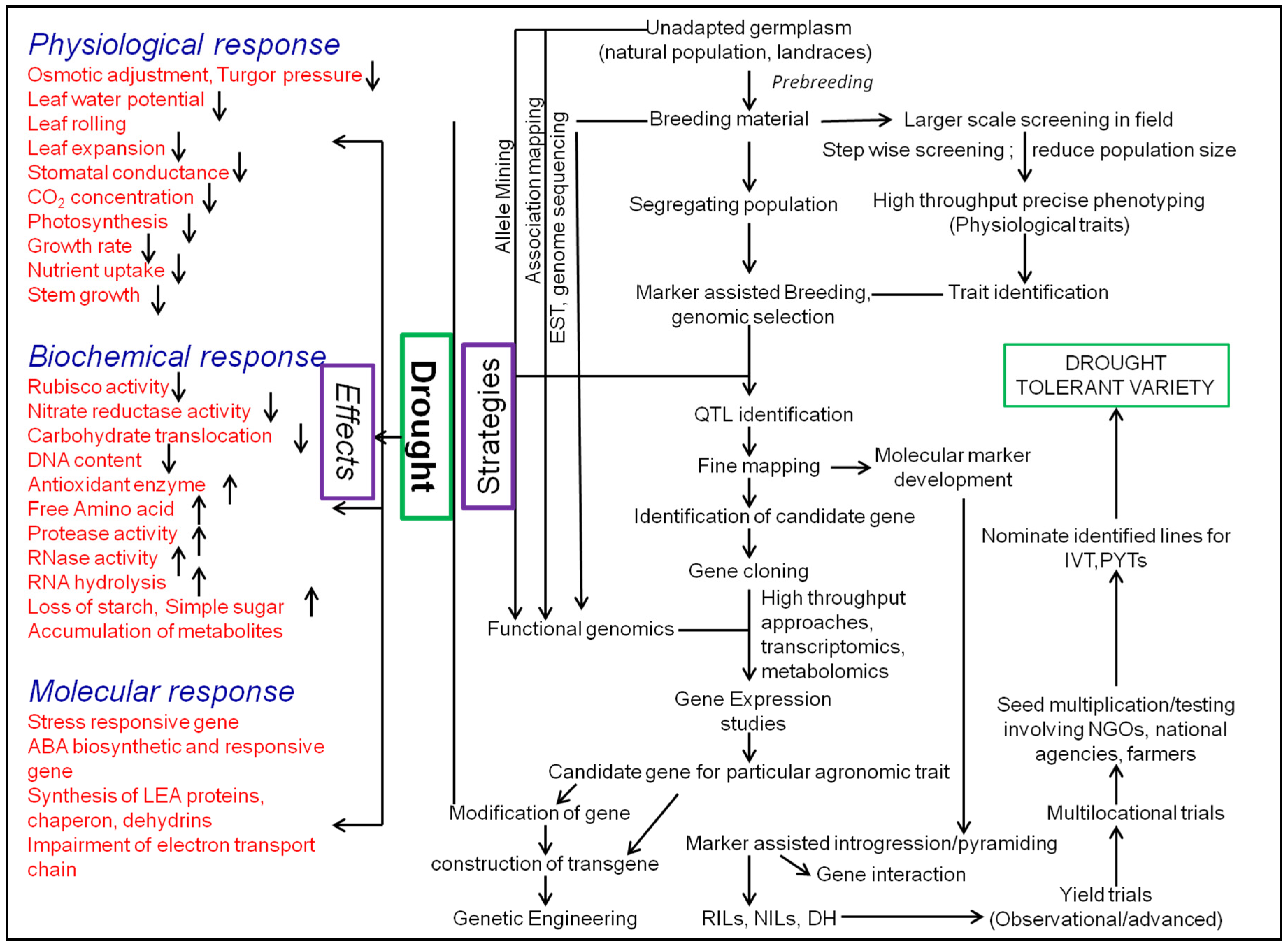 Agronomy 07 00027 g002